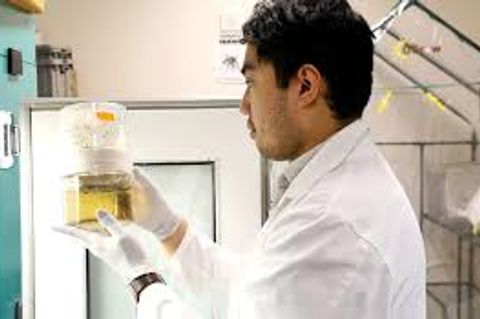 Documenting Rohingya atrocities