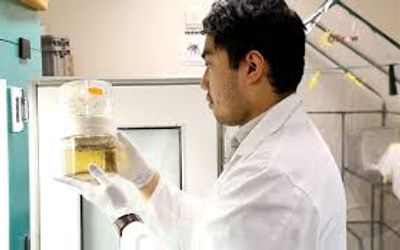 The Rohingya Genocide Documentary