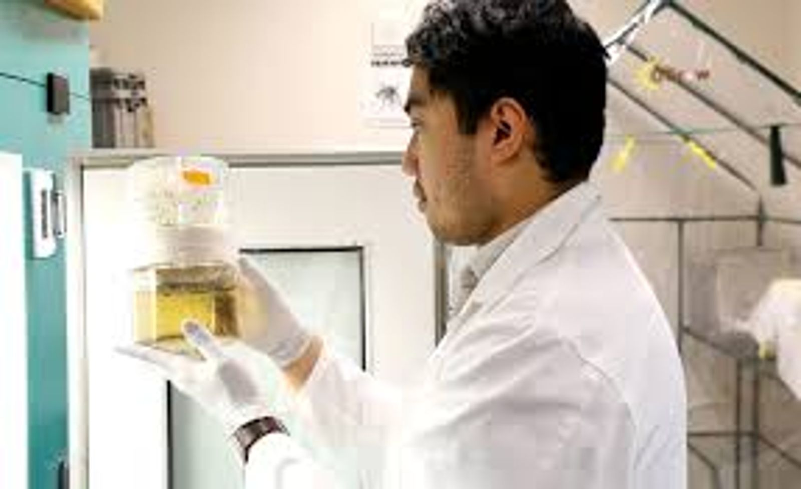 The Second Duplicate Article