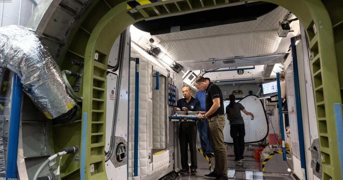 Google-Bewertungen mit KI beantworten: So geht es richtig