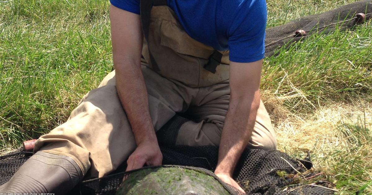 Perplexity: Wie KI dir hilft, bessere Materialpreise zu finden