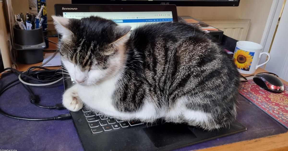 5 KI-Prompts, die jeder Selbstständige kennen sollte