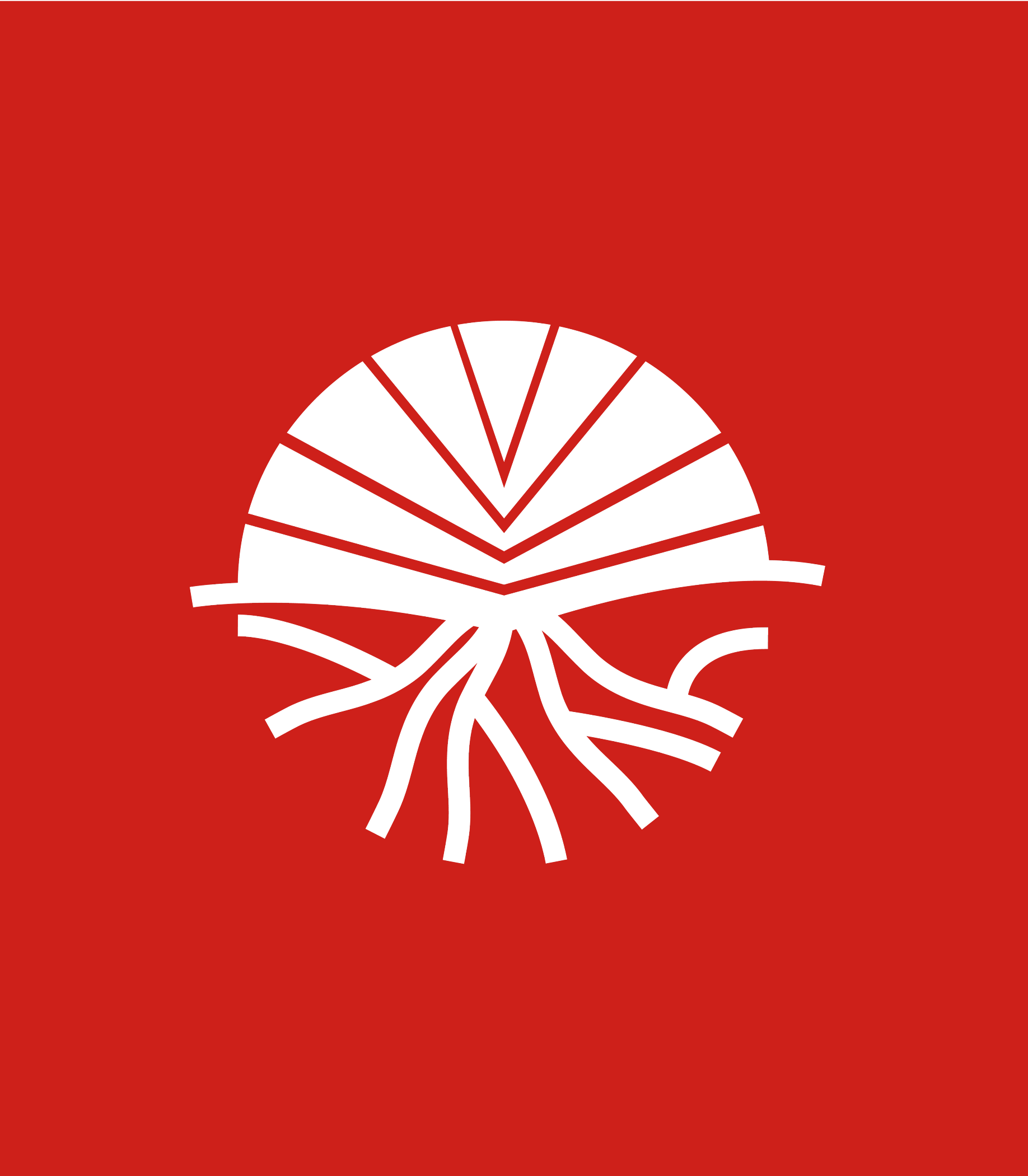 Vielong Agrofrontier Ghana Limited