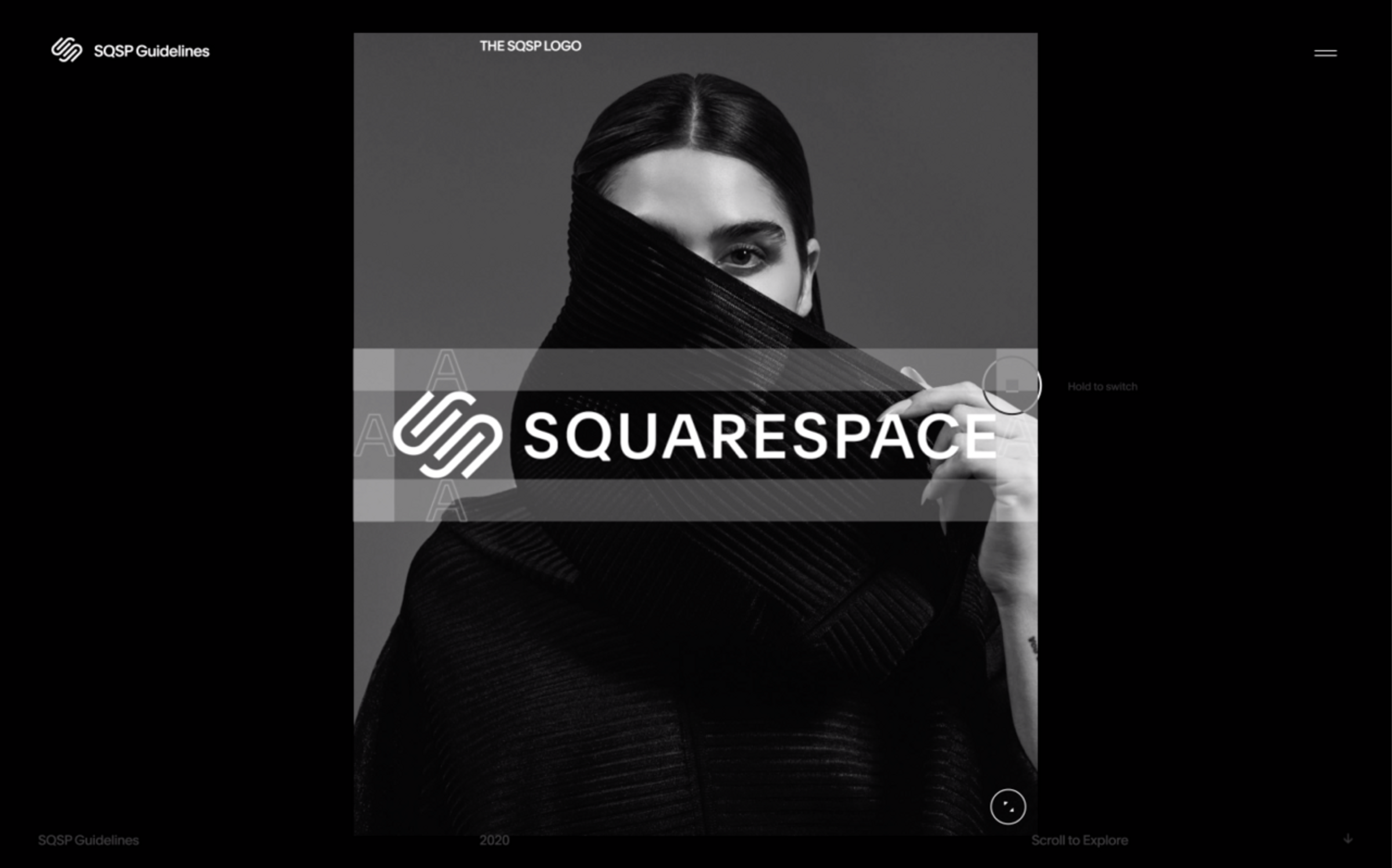 The image lightbox on the Squarespace brand guidelines website
