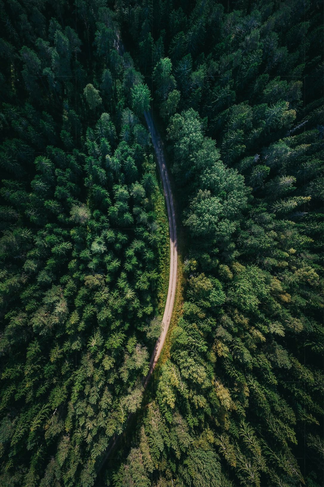 Sustainability Impact