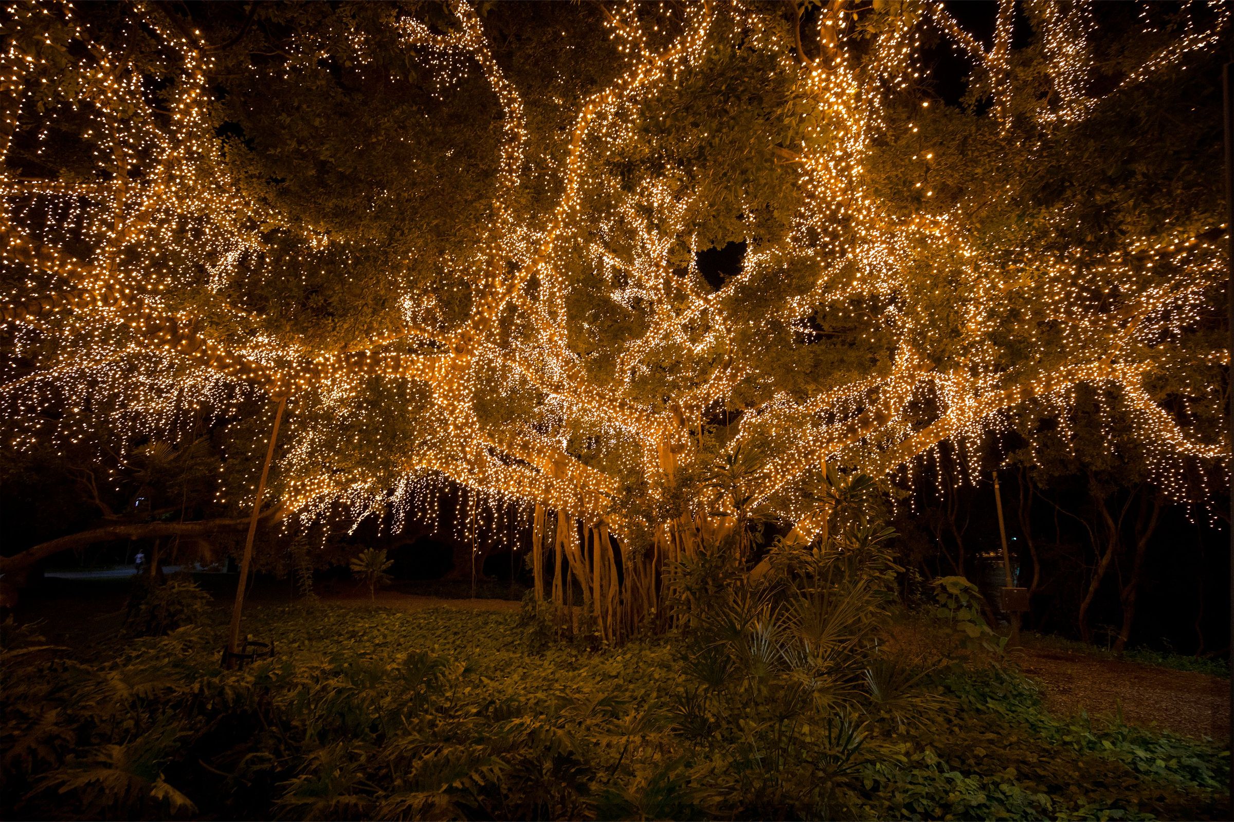 QUT Garden’s Point project hero image