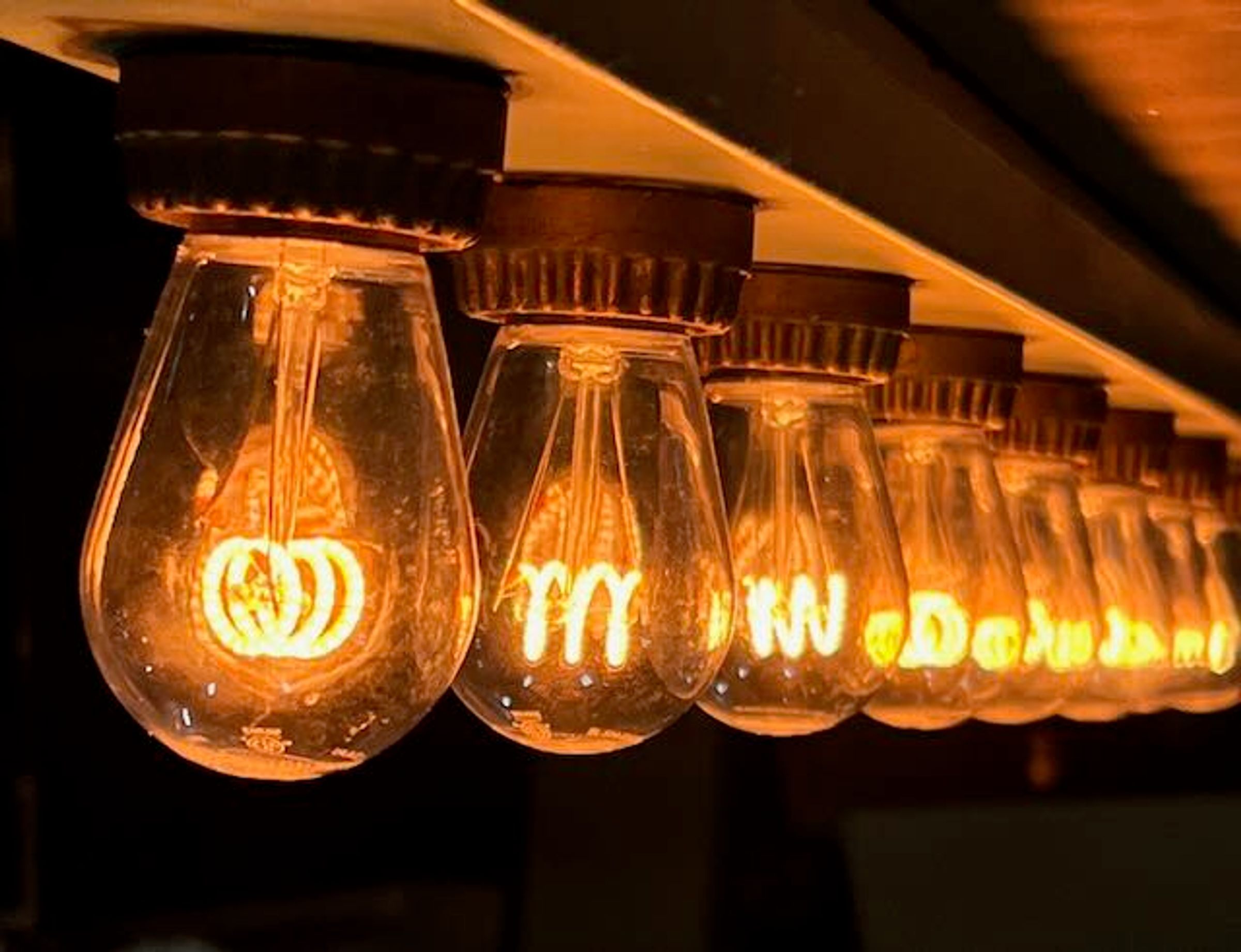 The World’s Favourite Festoon System product hero image 4