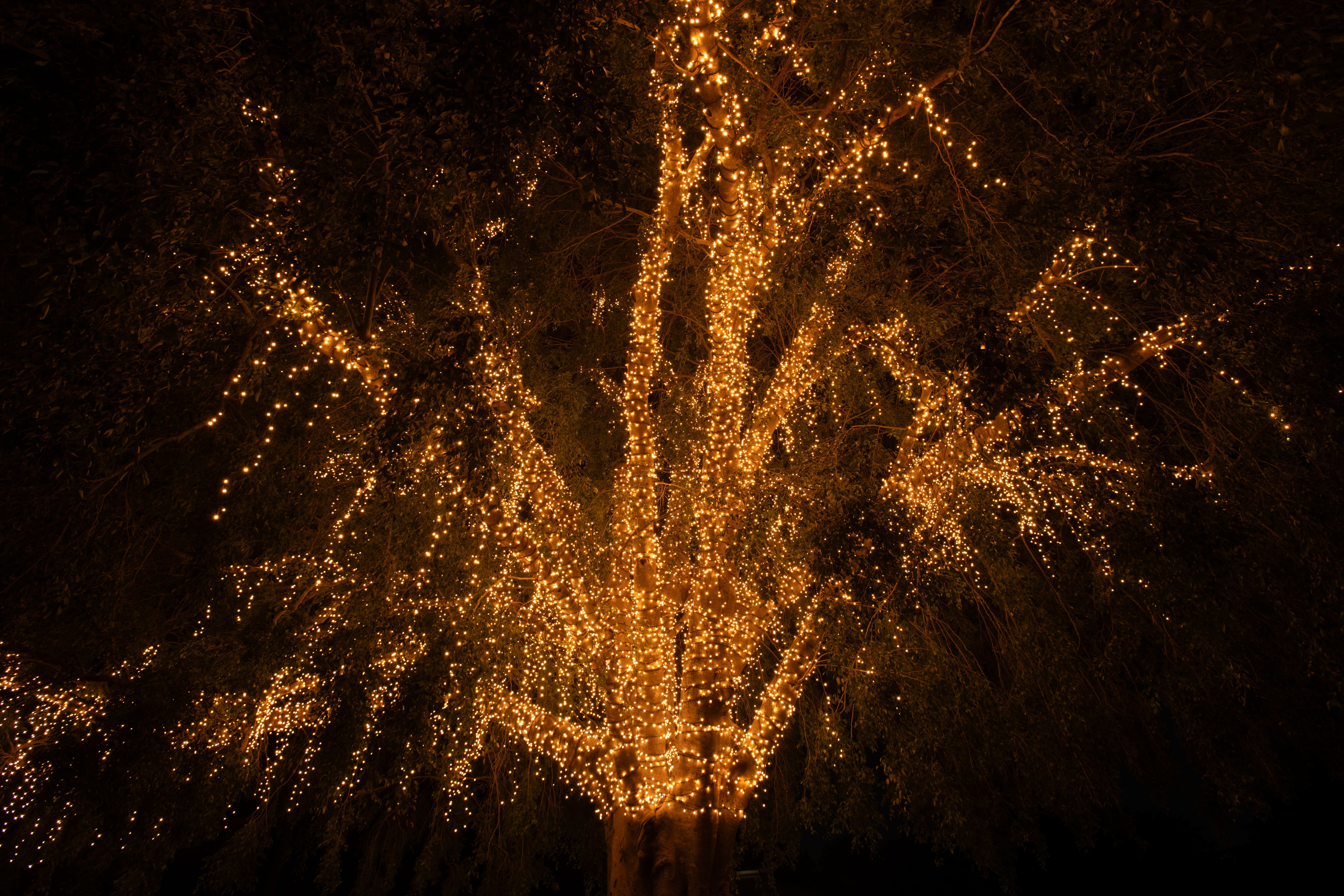 Mowbray Park project cover image