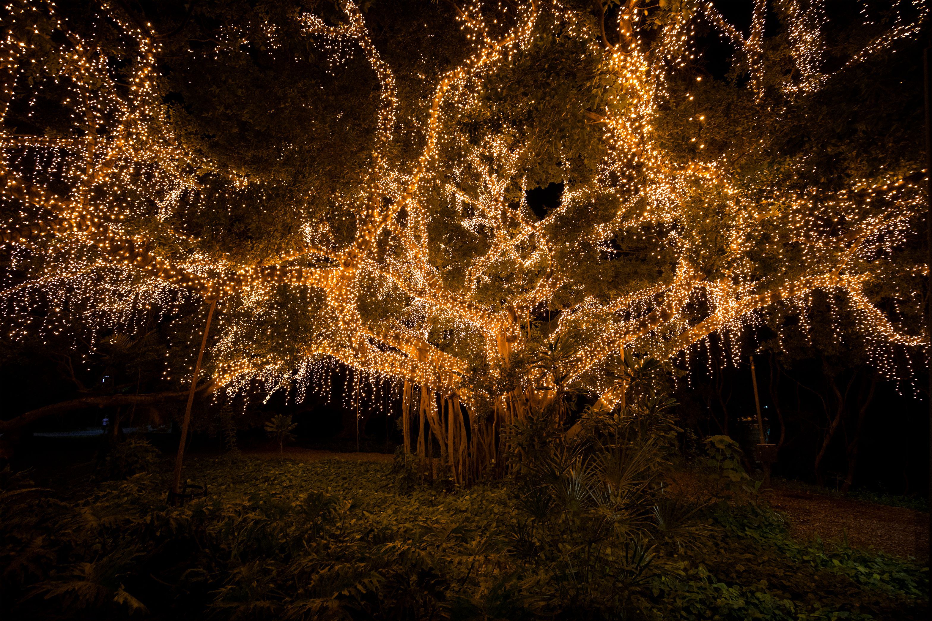 QUT Garden’s Point project cover image