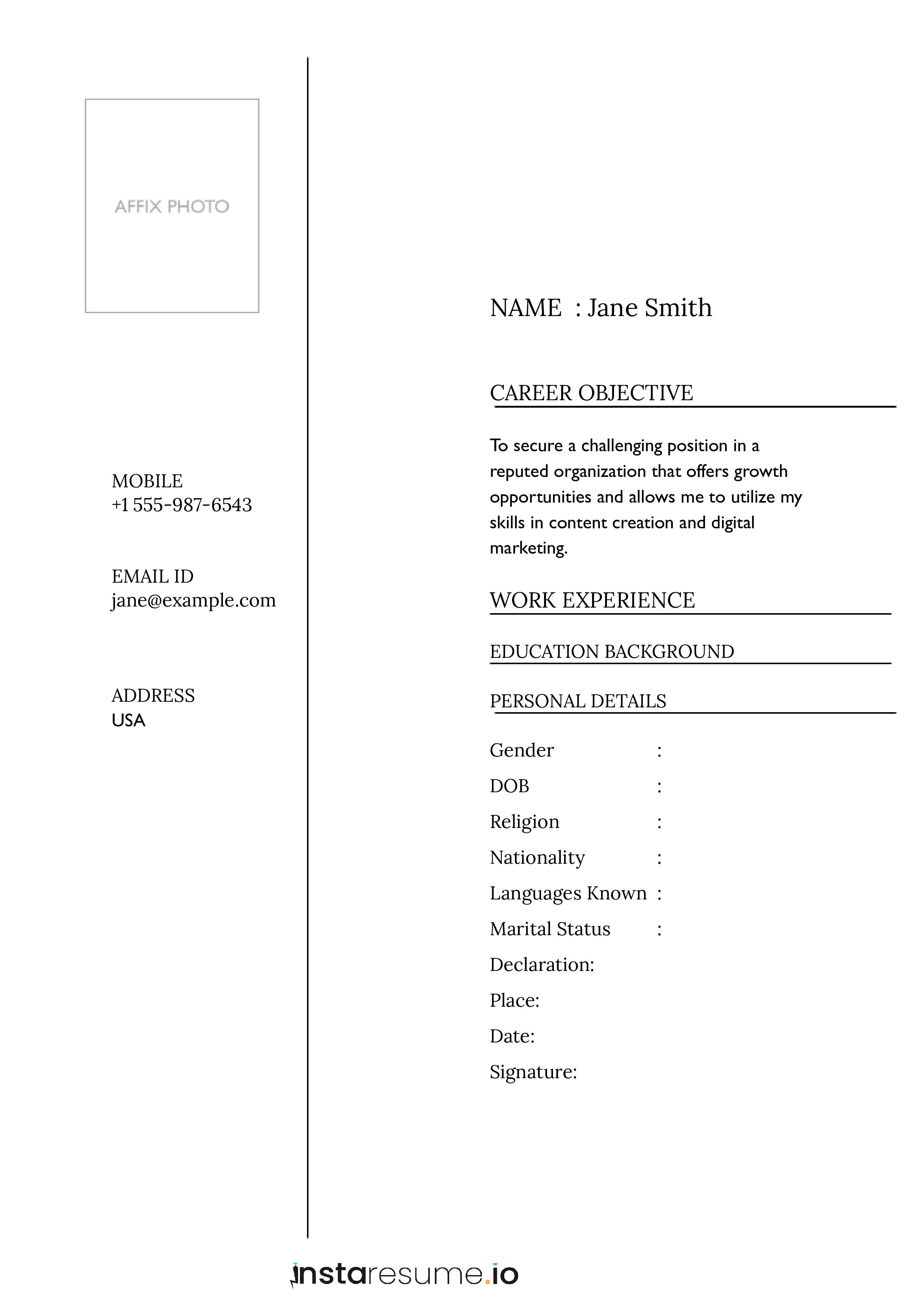 Professional biodata format​