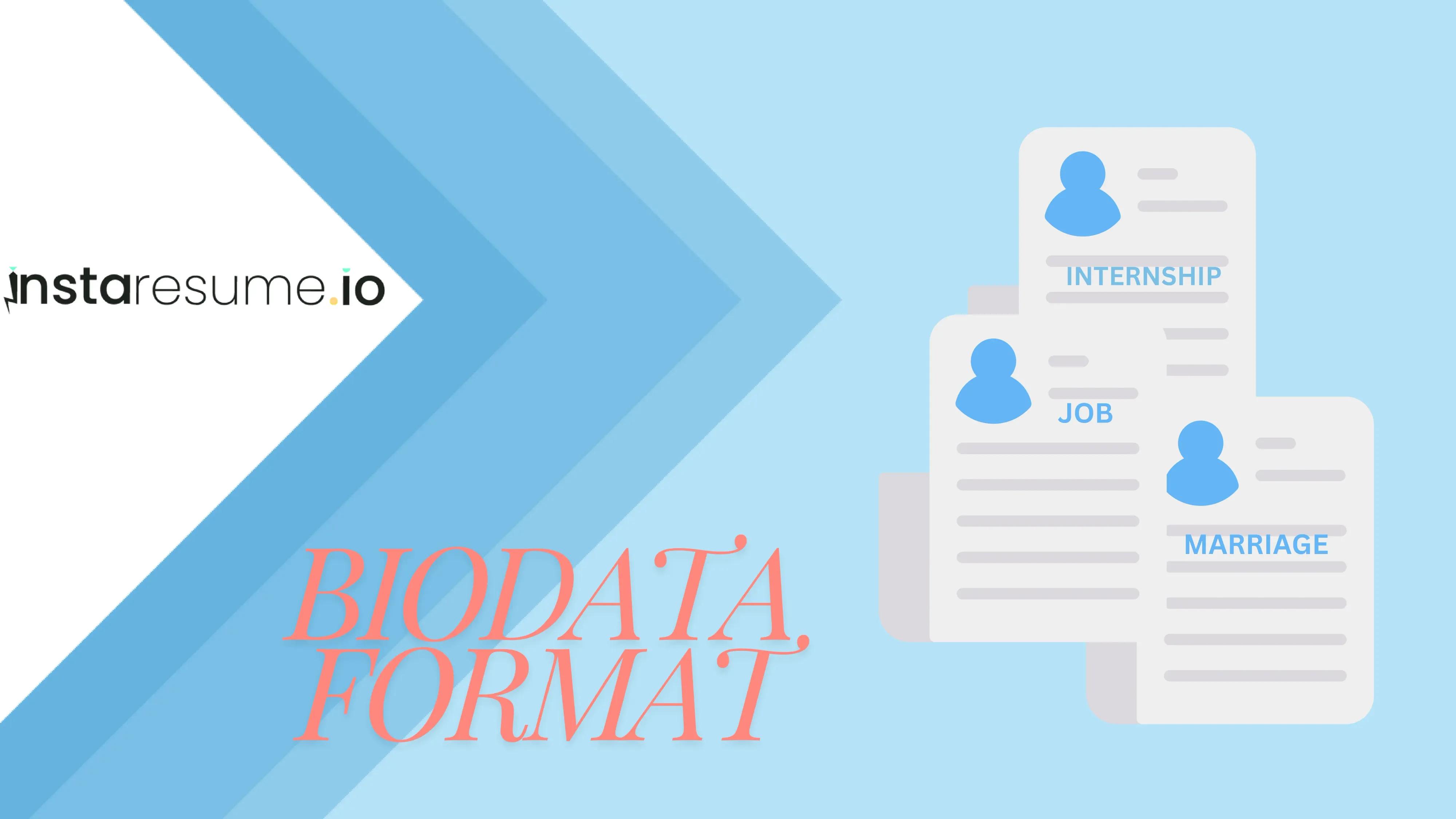 Biodata format for job application