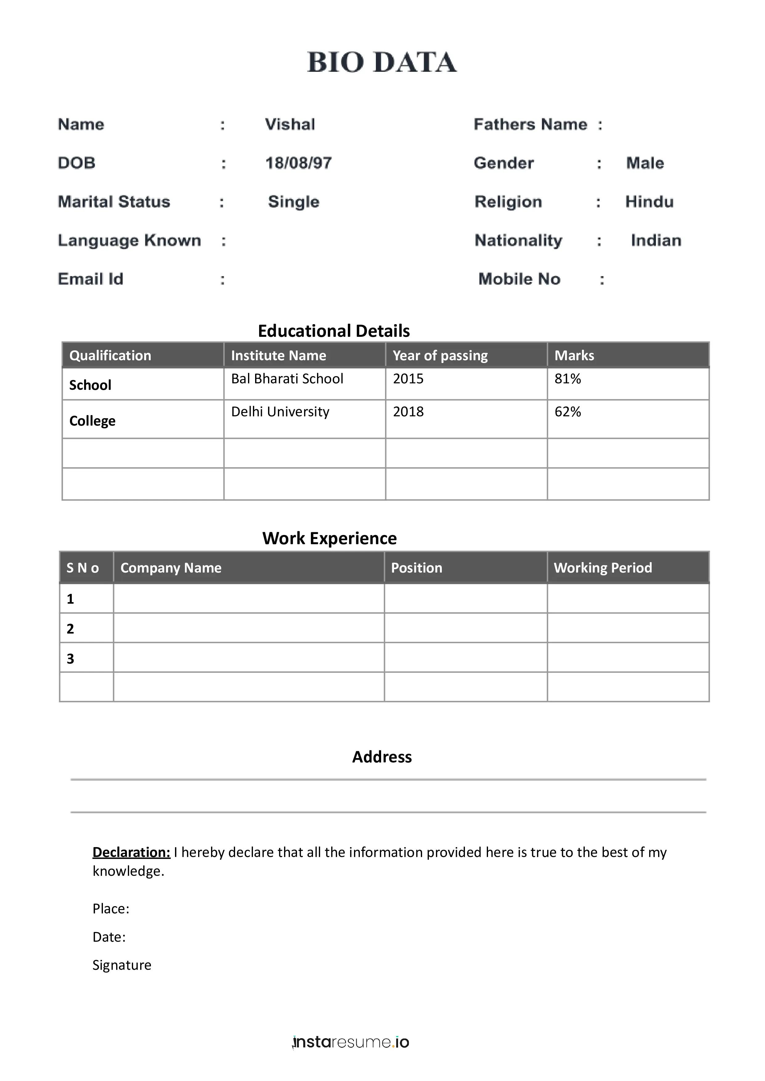 biodata format for seo expert