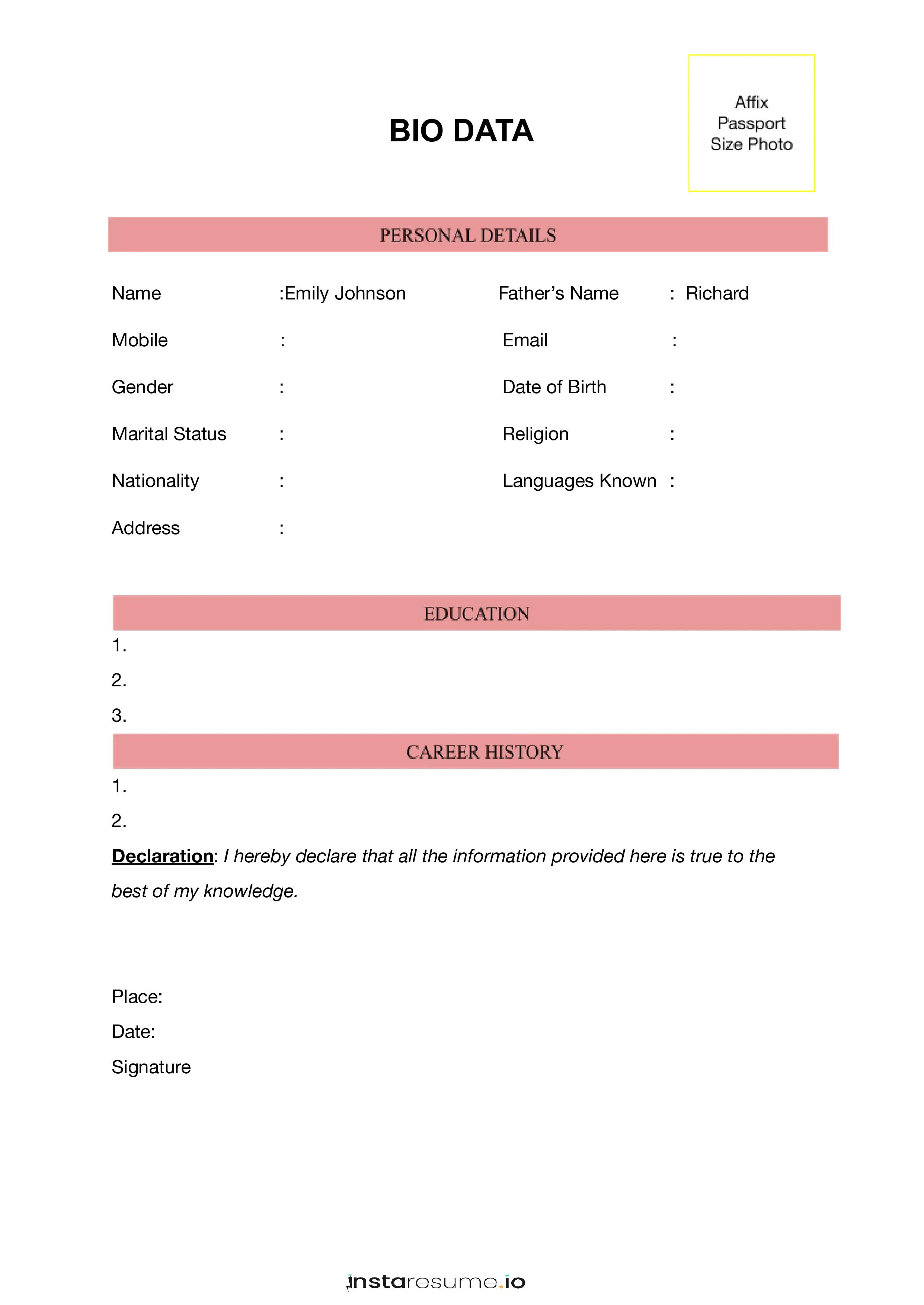 biodata format for digital marketing enthusiast