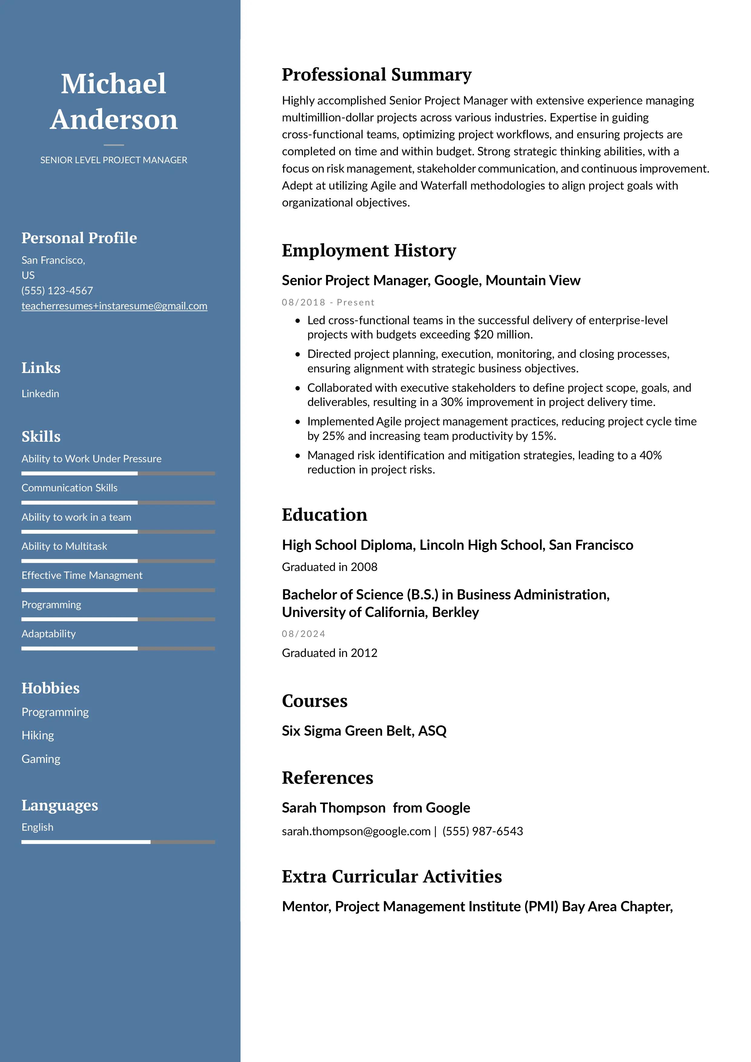 Senior level project manager resume