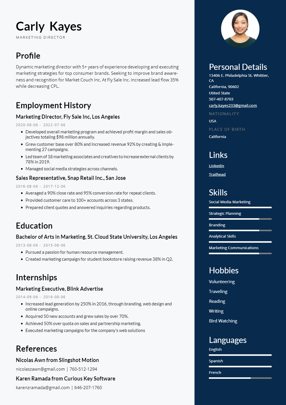 Professional CV Template