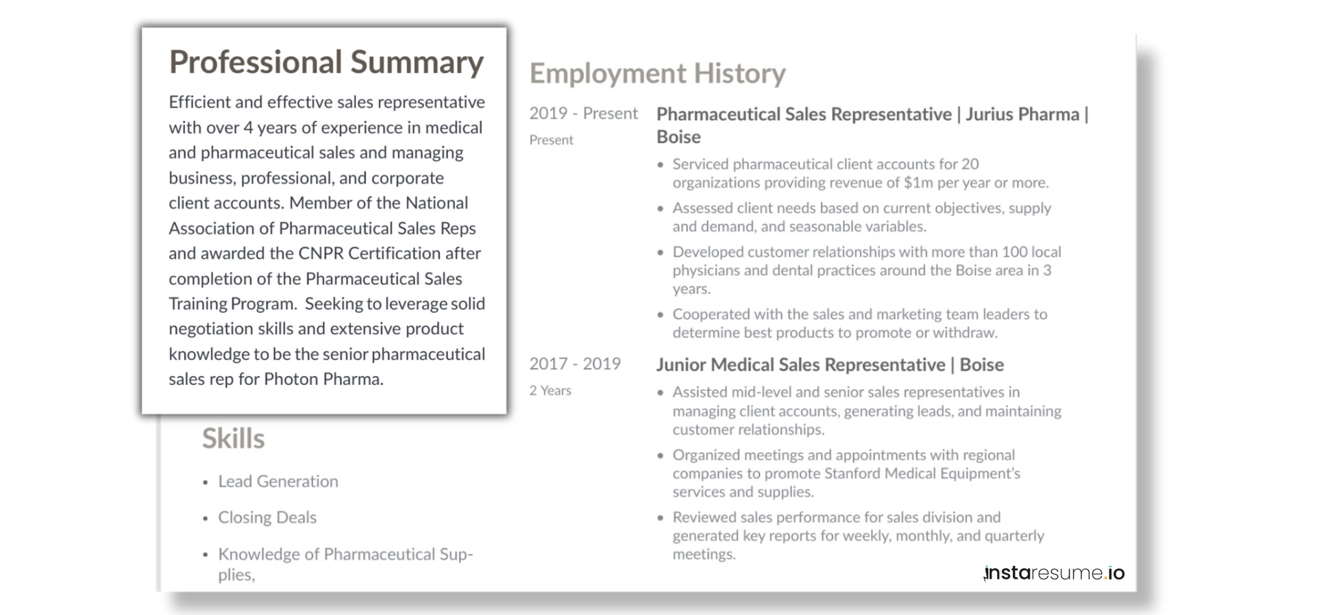 Professional summary from instaresume resume templates 