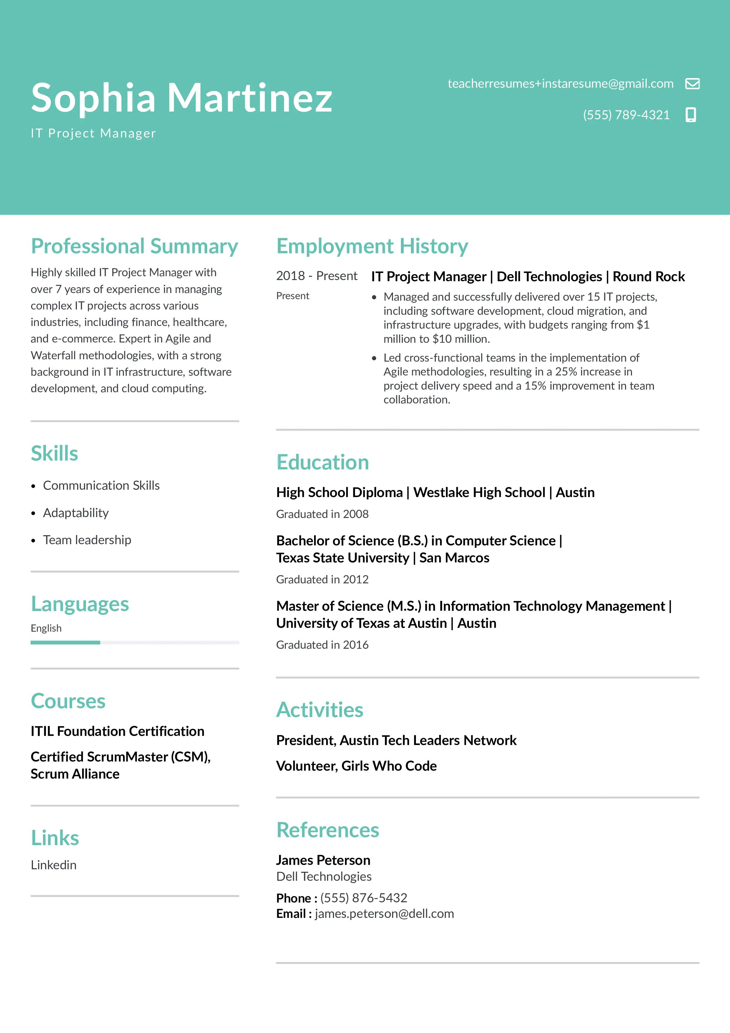 IT project manager resume