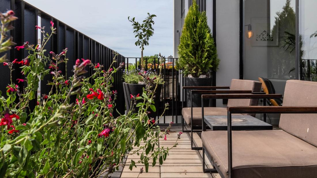 We design experiences that 
enhance every stay and strengthen 
your investment.