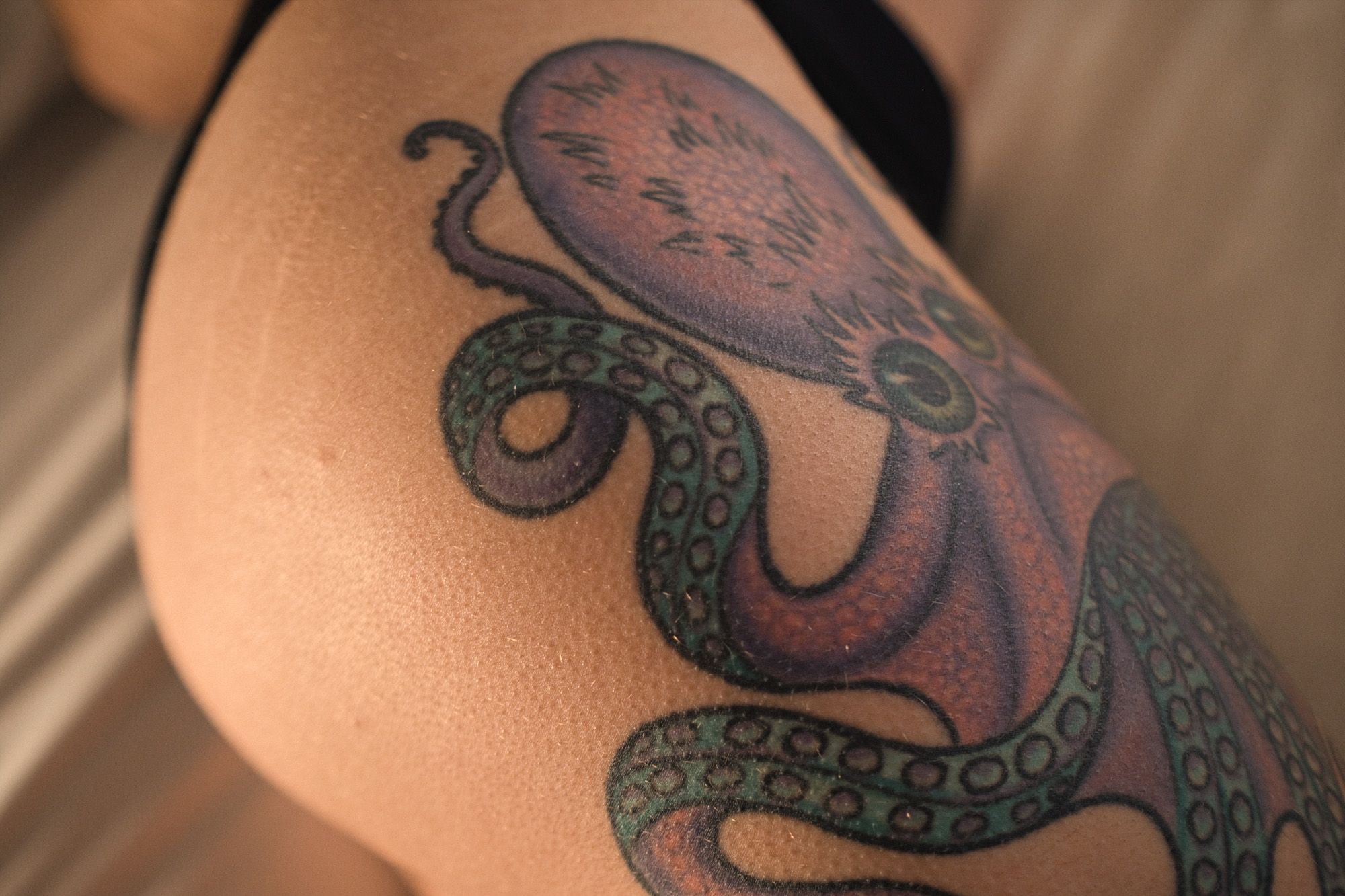 Photo of Okami Stormborn