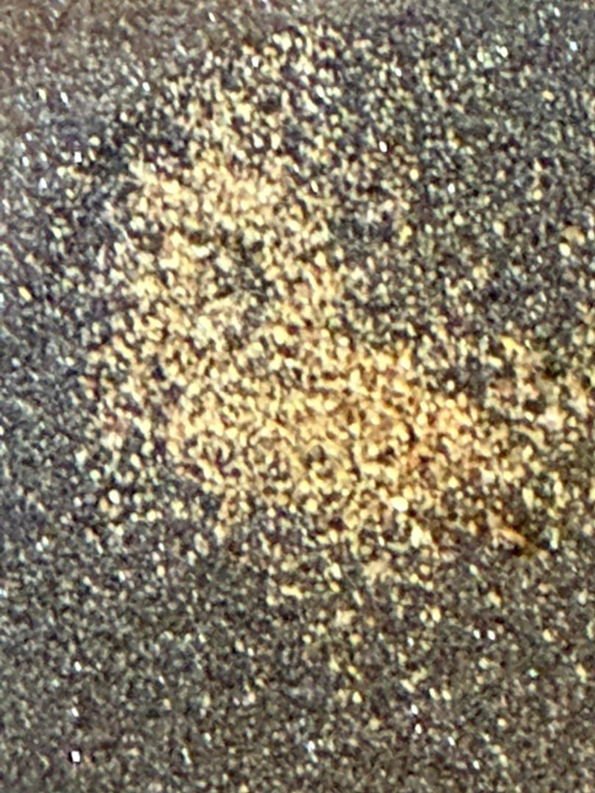 Gold sample collected, October 2025.