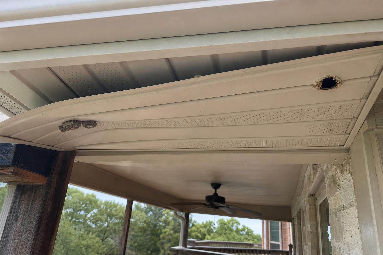 A sagging soffit panel with a chewed hole and wasp nests under a roof overhang.