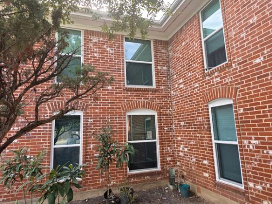 Windows in North Austin, Austin, TX (Feb 2026)