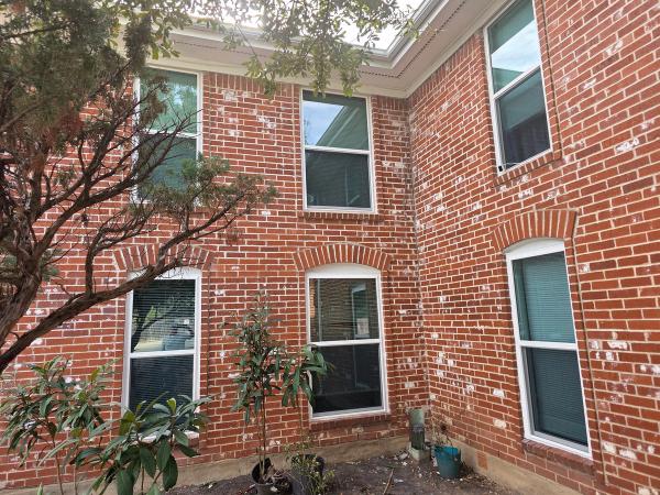 Windows in North Austin, Austin, TX