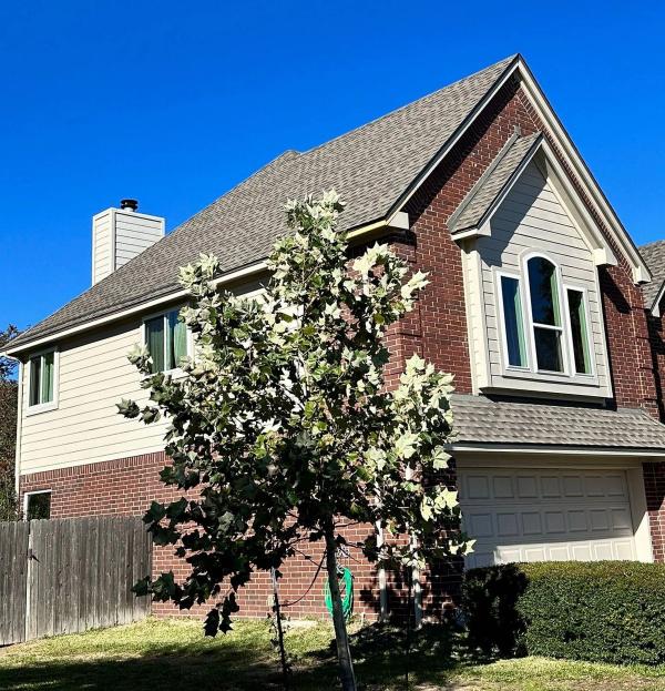 Shingle Roofing & Windows in Avery Ranch, Austin, TX