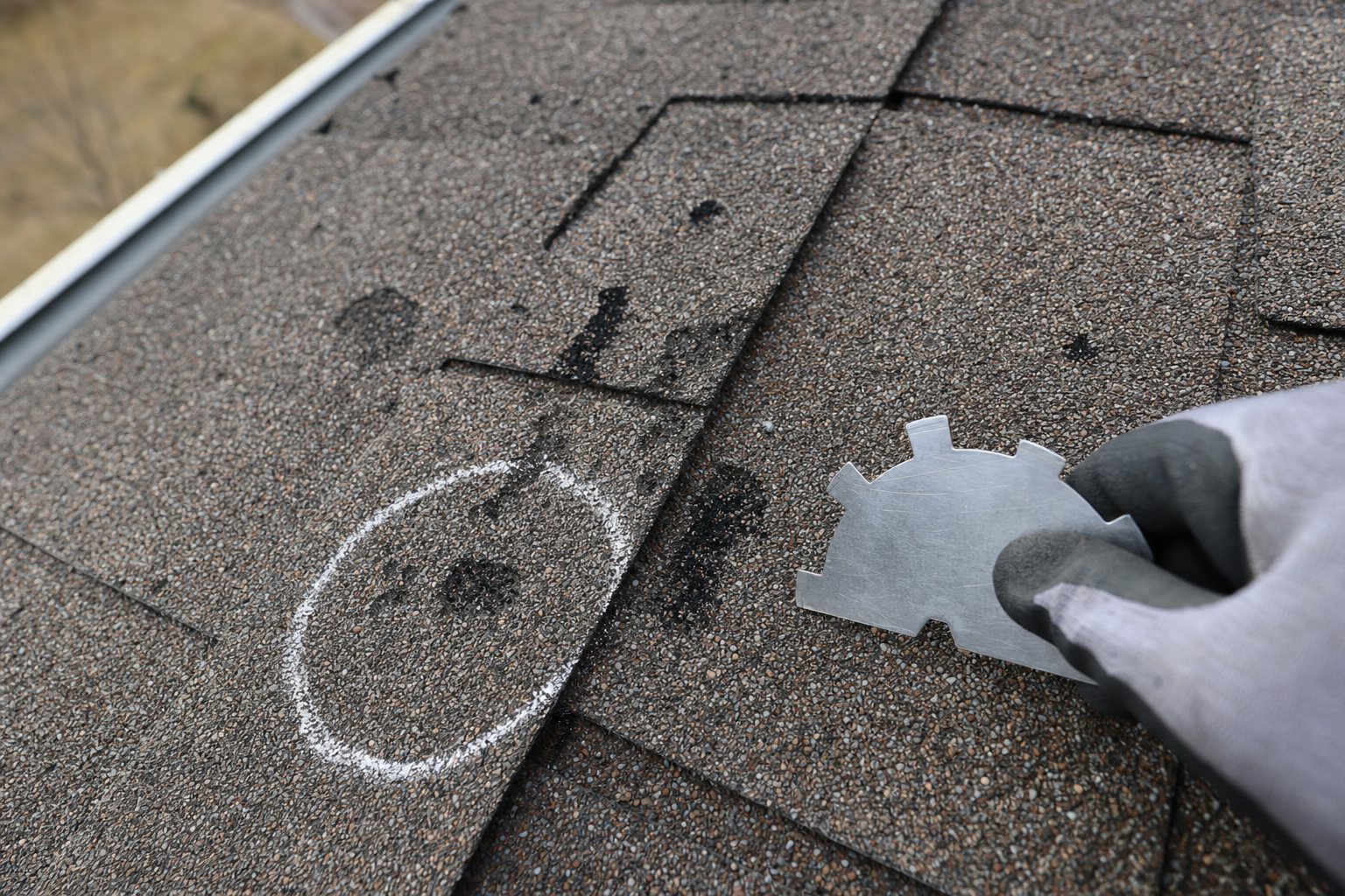 Close-up of hail damage on asphalt shingles showing granule loss and impact marks during roof inspection