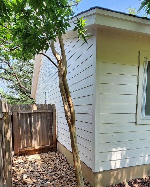 James Hardie 8.25" Primed Select Cedar Mill detail — Milwood, Austin (photo 4)
