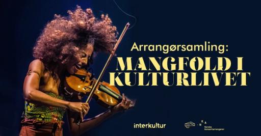 Arrangørsamling: Mangfold i kulturlivet