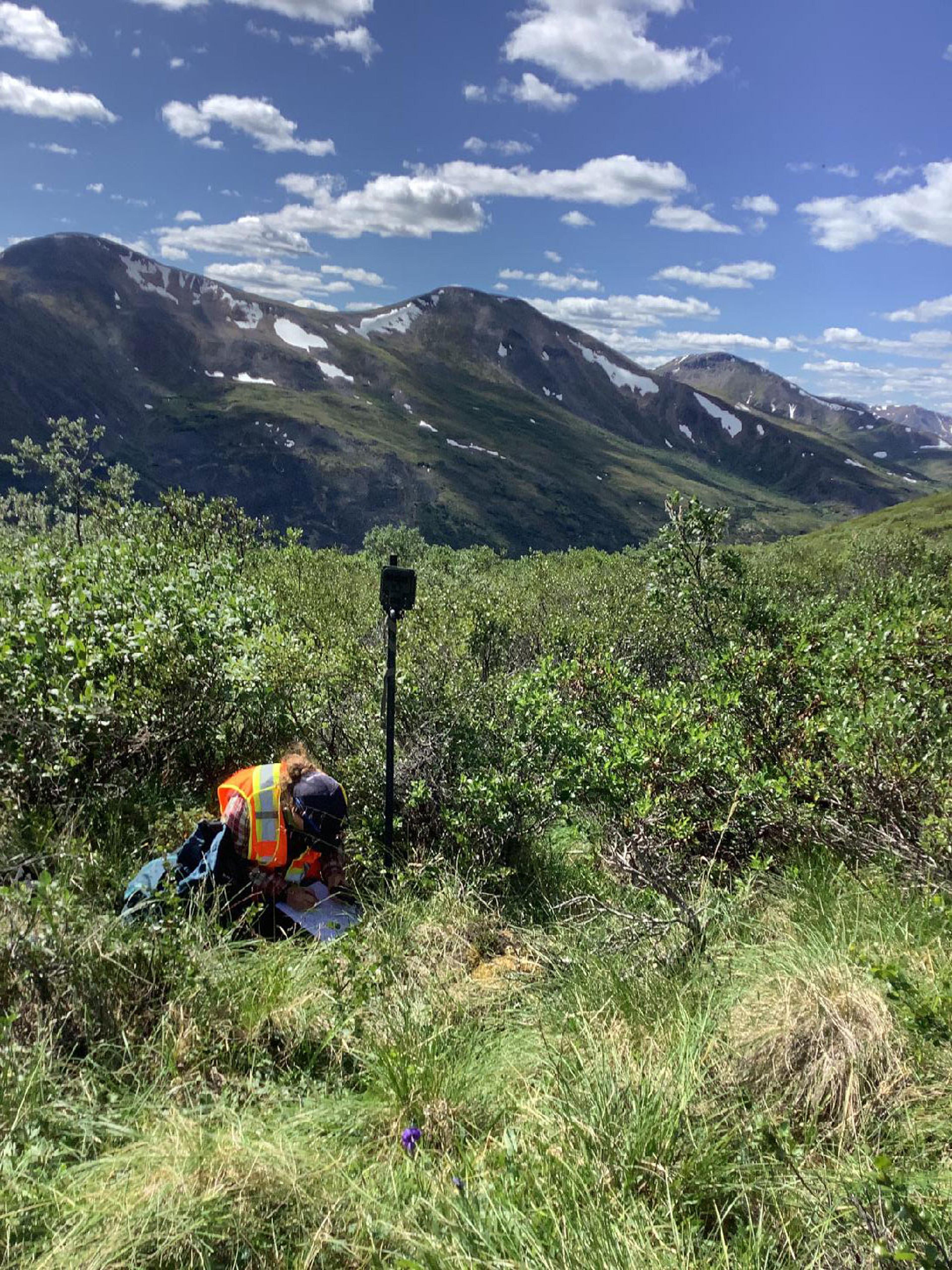 Biologist recording remote camera data in the field