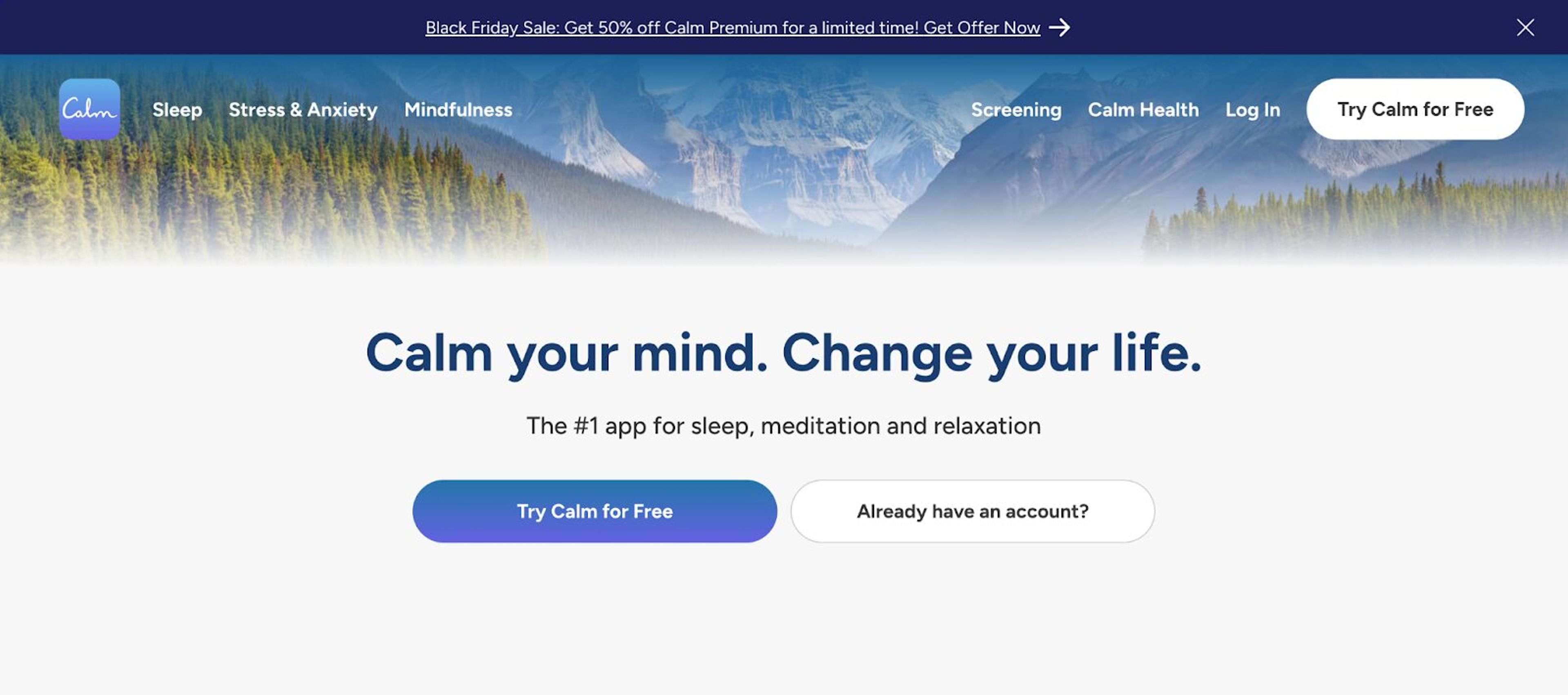 Calm website homepage headline