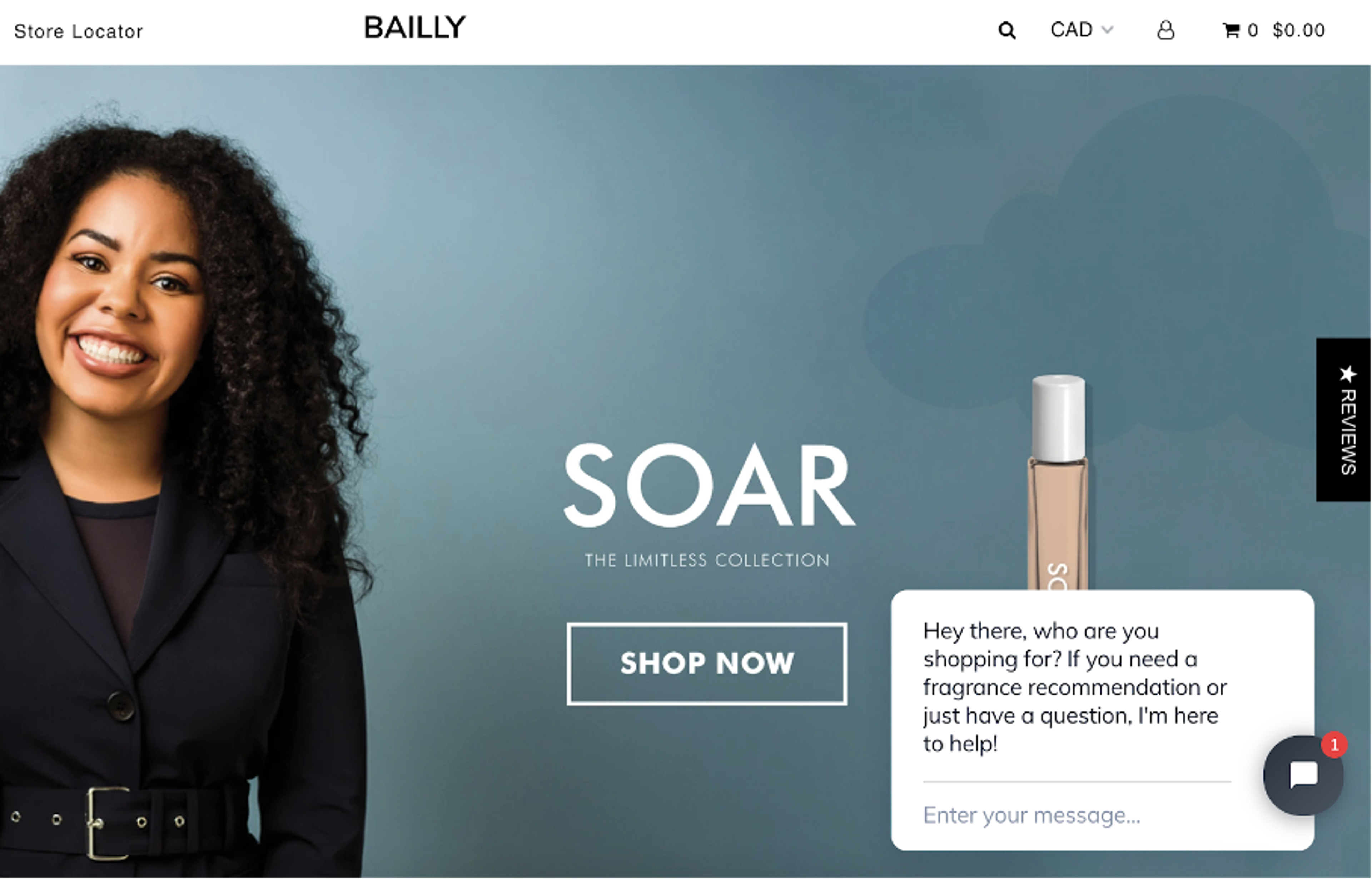 Bailly ecommerce business live chat