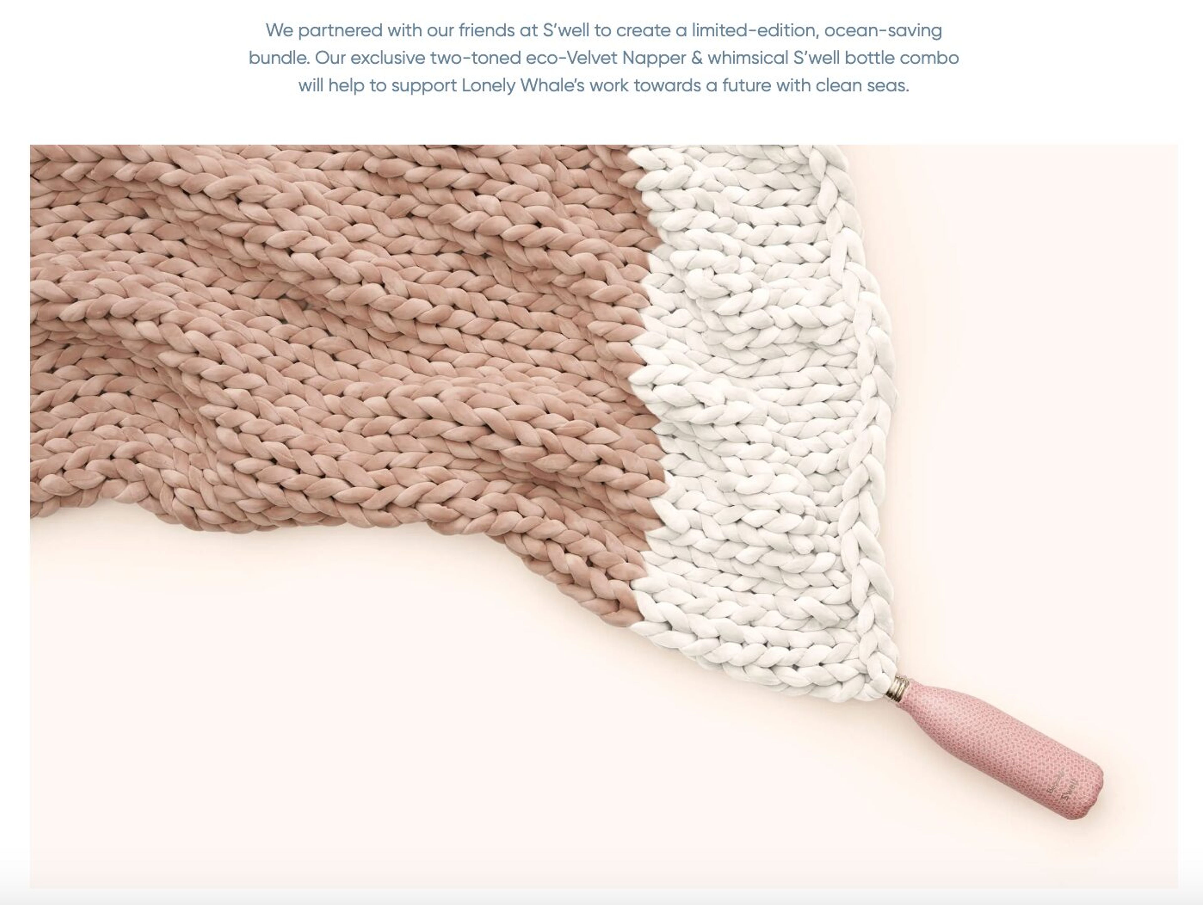 Bearaby establishes brand awareness with collaborating with S'well and their limited edition deal.