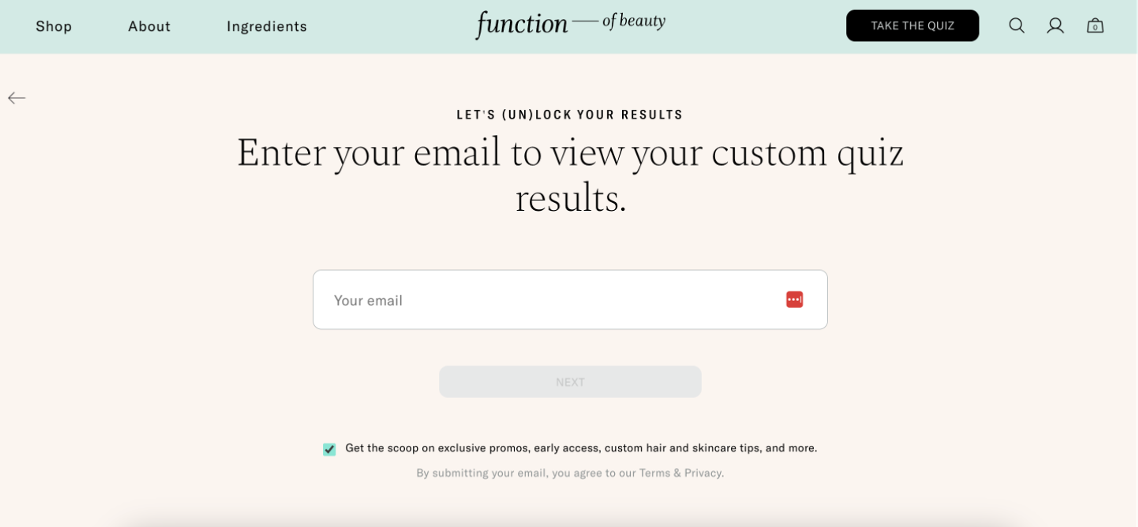 Function of Beauty quiz lead generation example