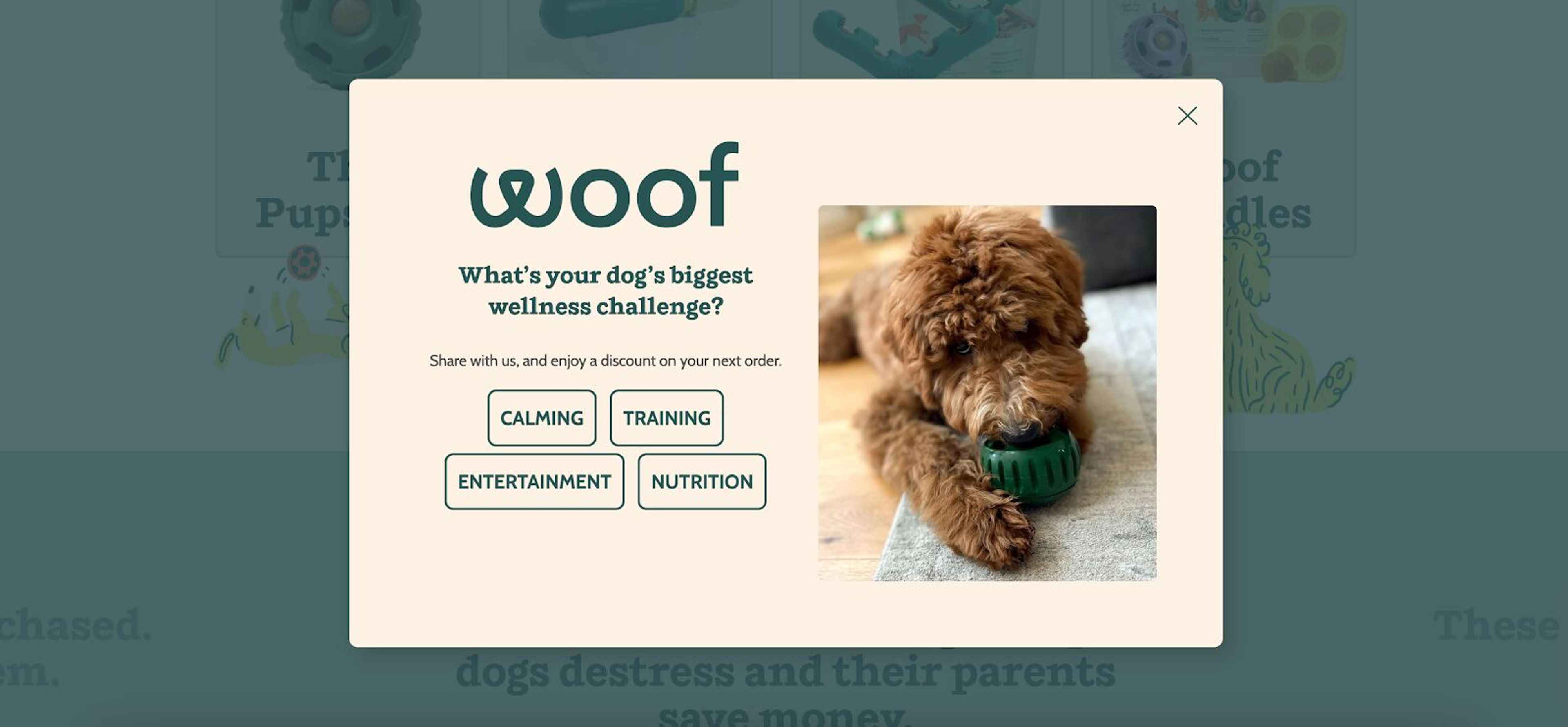 Illustration for: 12 Effective Website Popup Ideas That Will Skyrocket Your Conversions