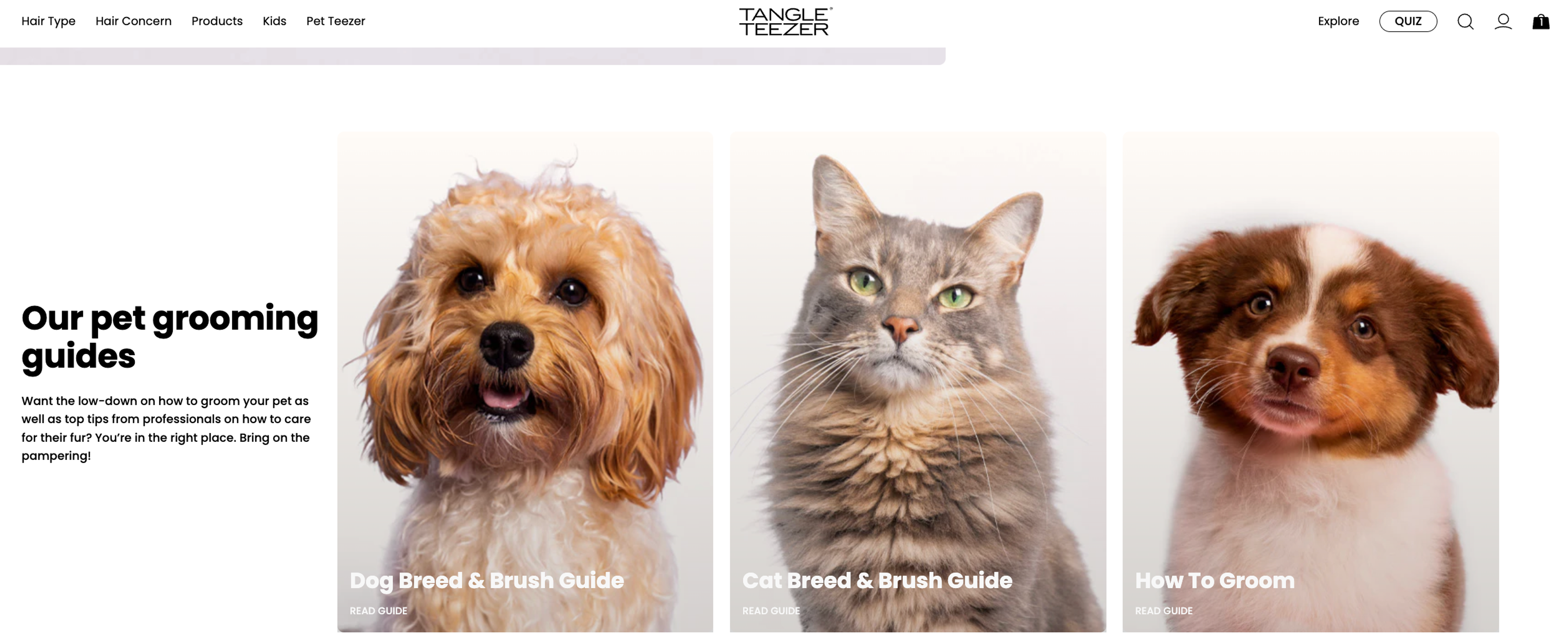 Illustration for: Tangle Teezer Marketing Breakdown: Lessons in Modern Brand Building