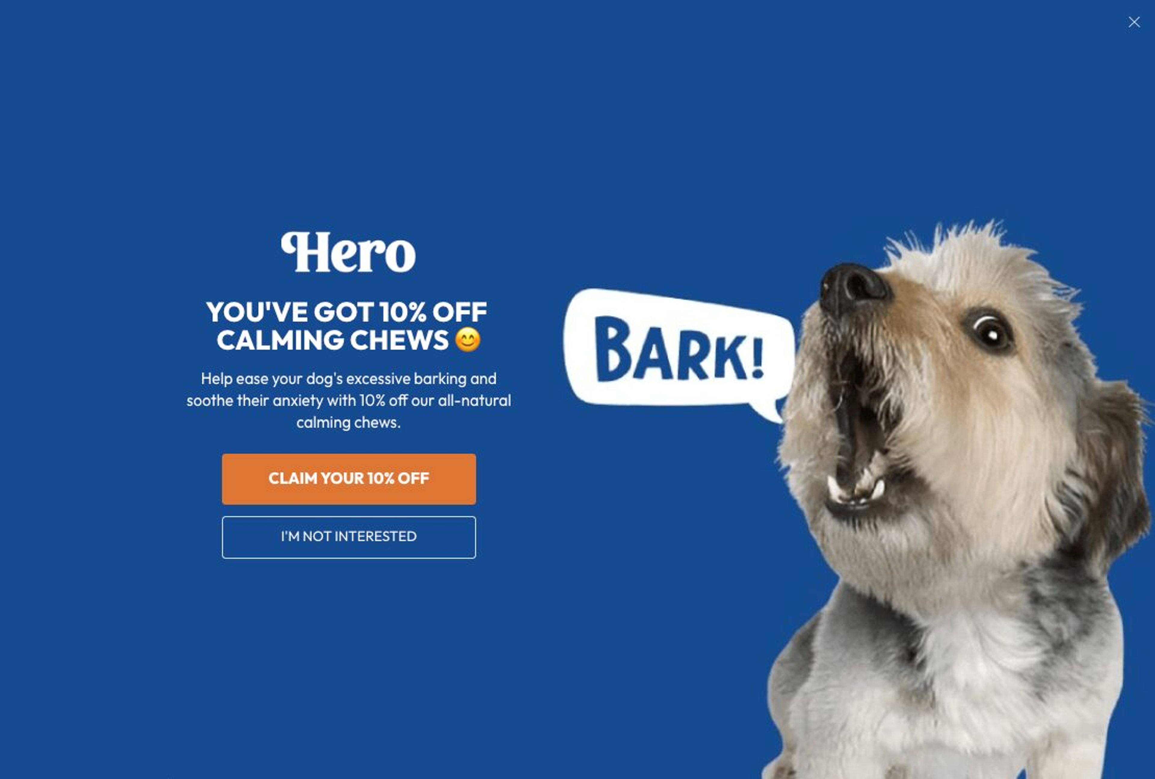 Illustration for: Website Popups: Best Practices & Examples