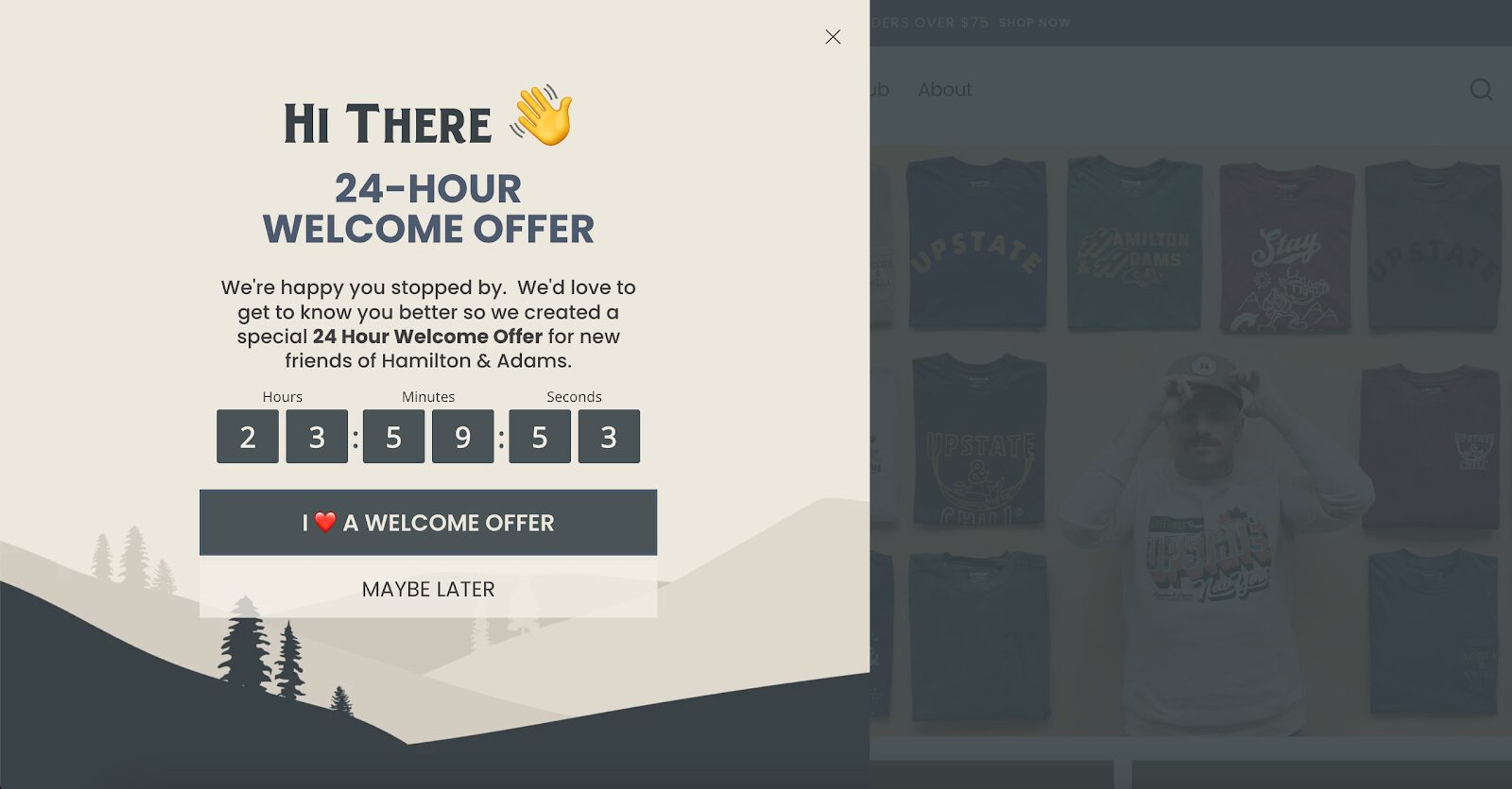 Hamilton &amp; Adams' countdown timer form creates urgency with a 24-hour offer