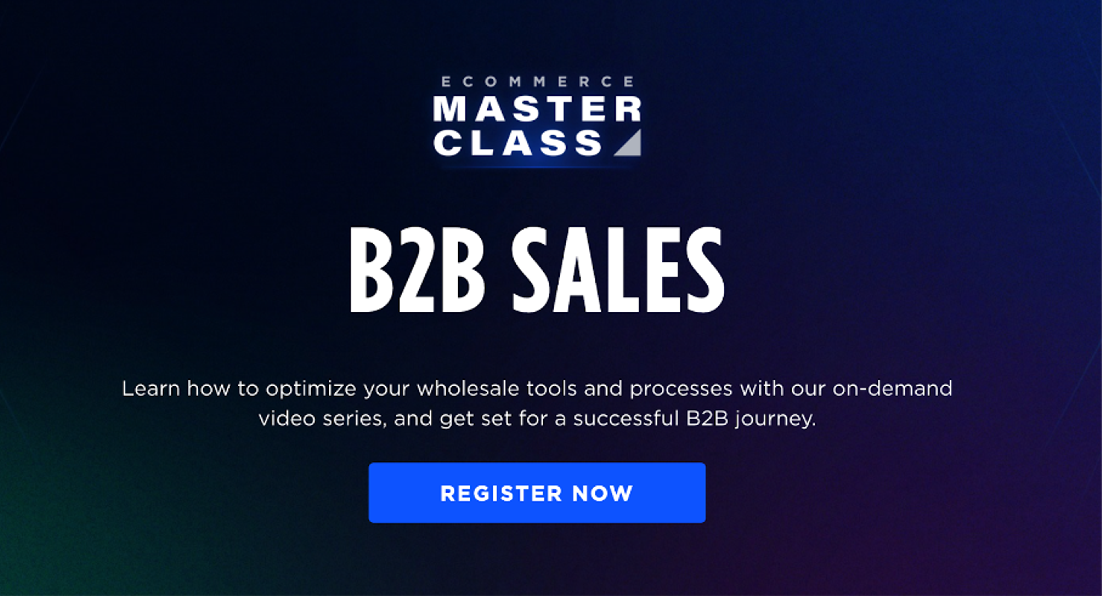 Ecommerce Masterclass: B2B Sales