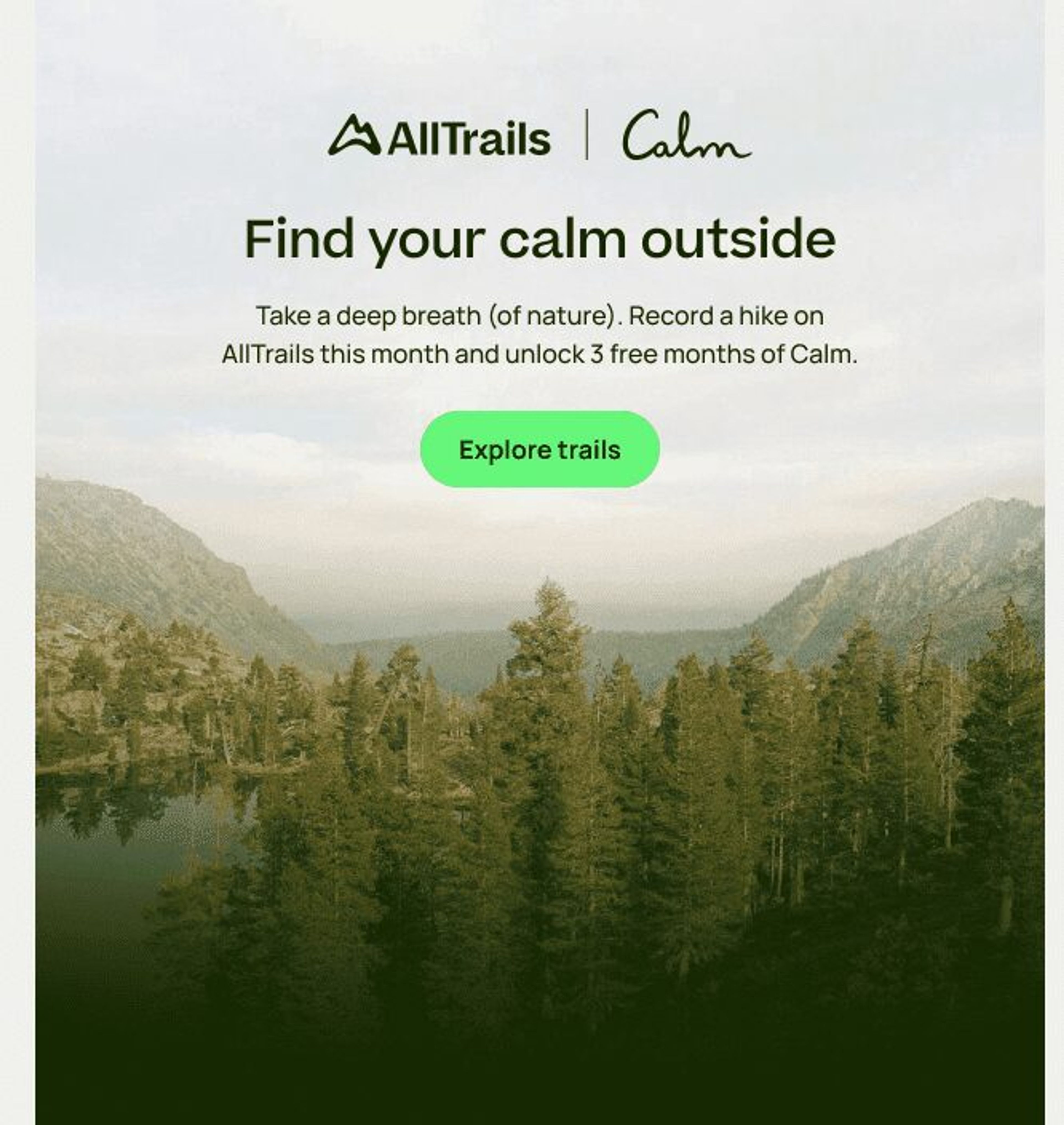 Swap email newsletter with different brands for audience growth