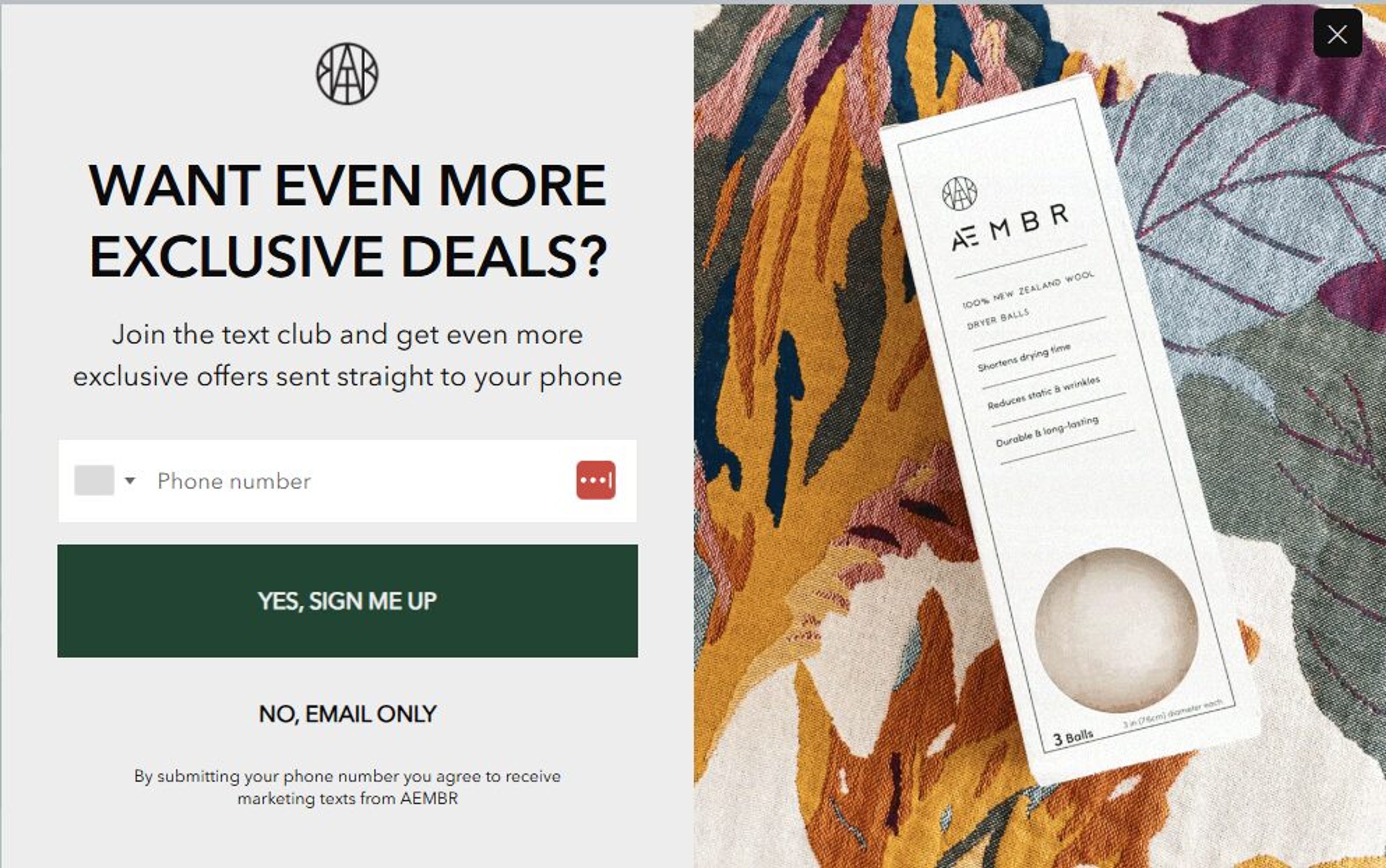 Aember's sign up form design clearly catches the visitor's eye and makes registration process hassle free.