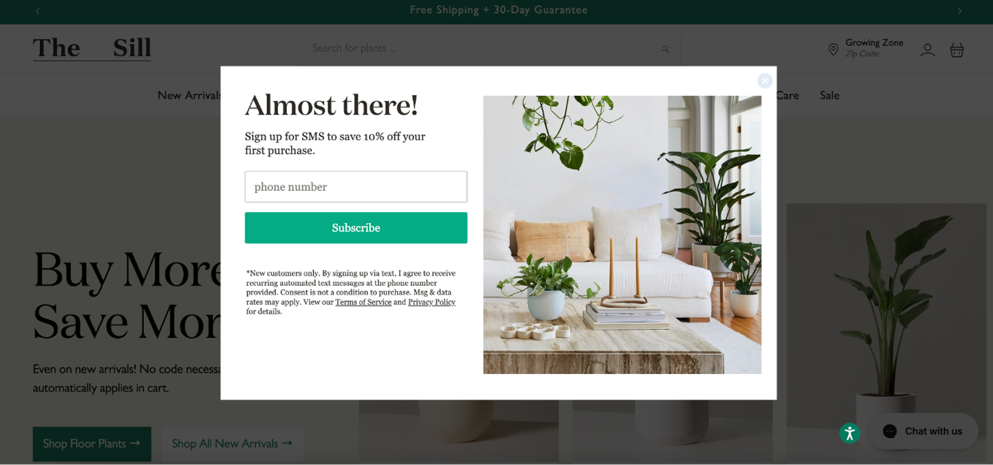 The Sill website popup