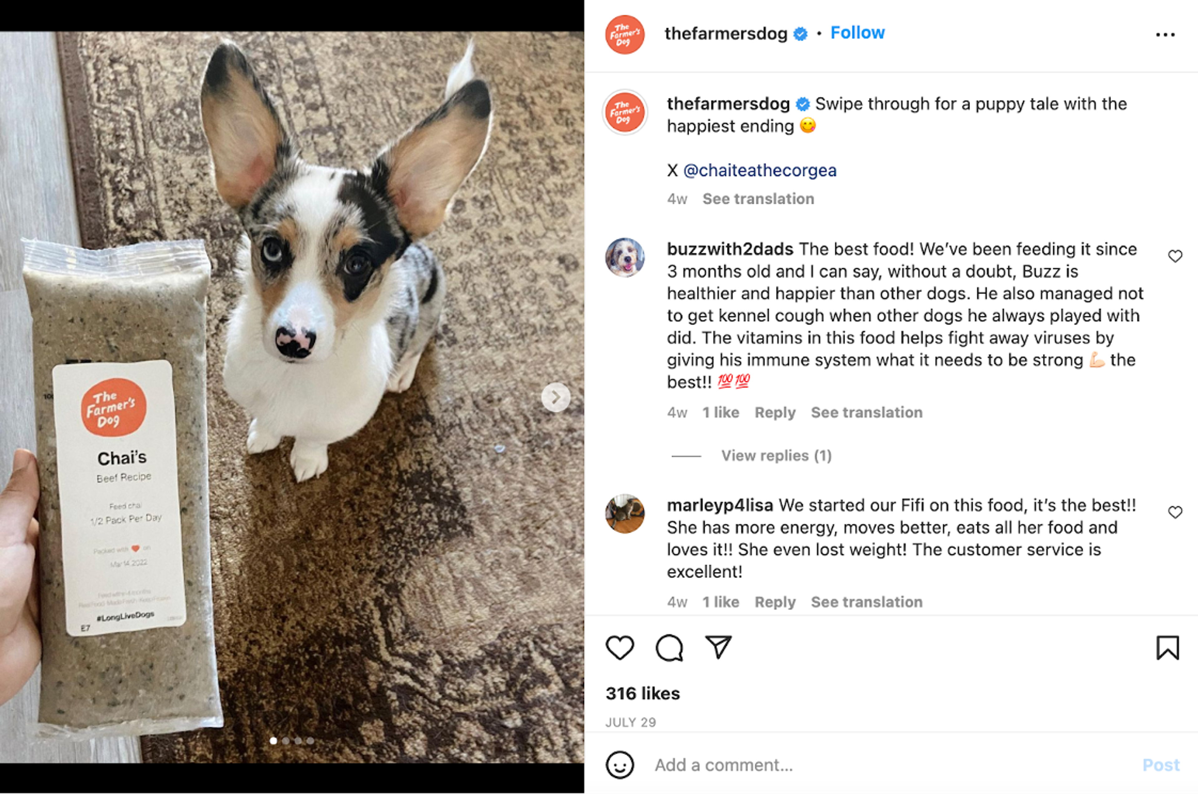 The Farmer’s Dog Instagram posts