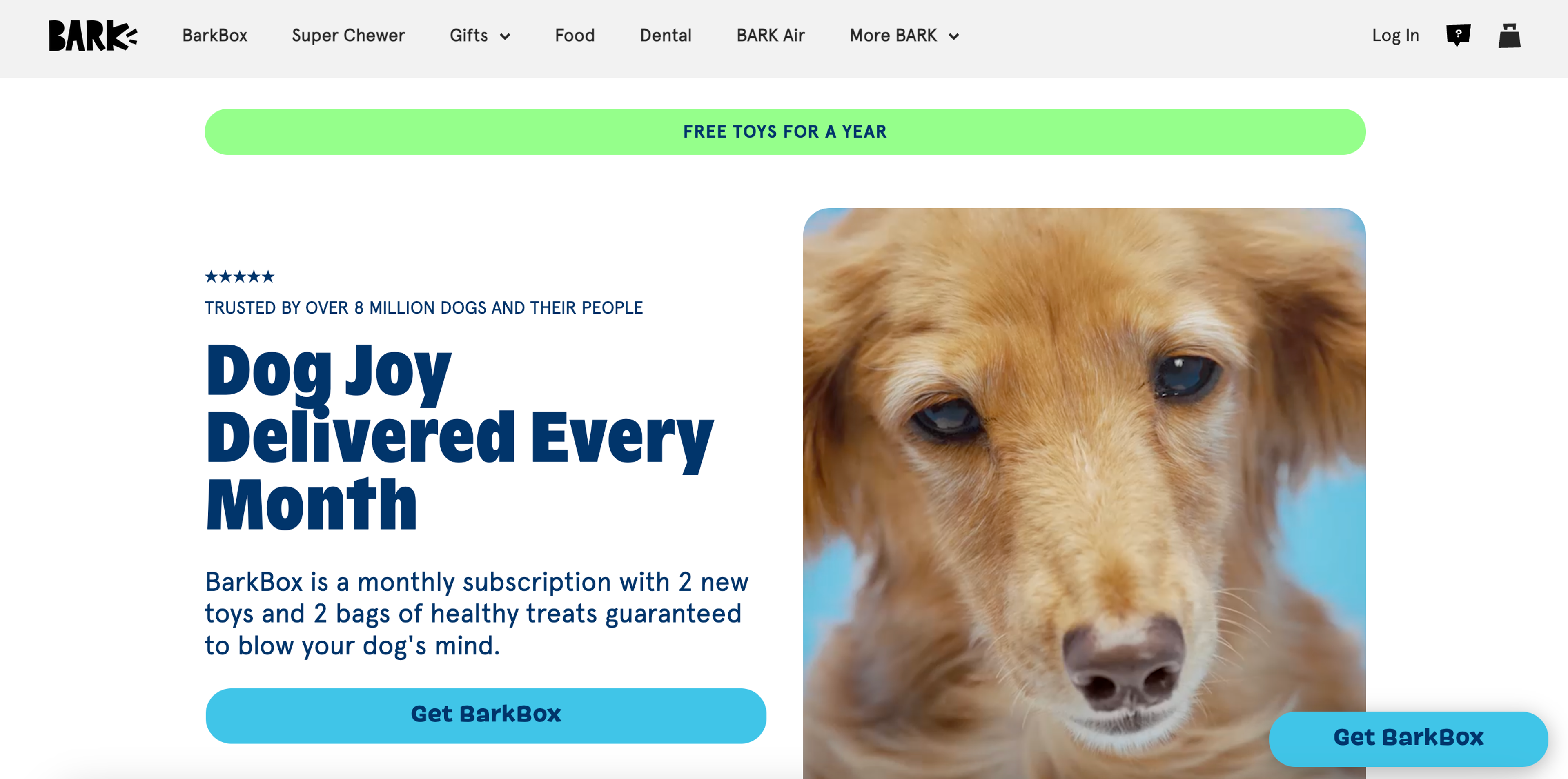 Dog joy delivered every month