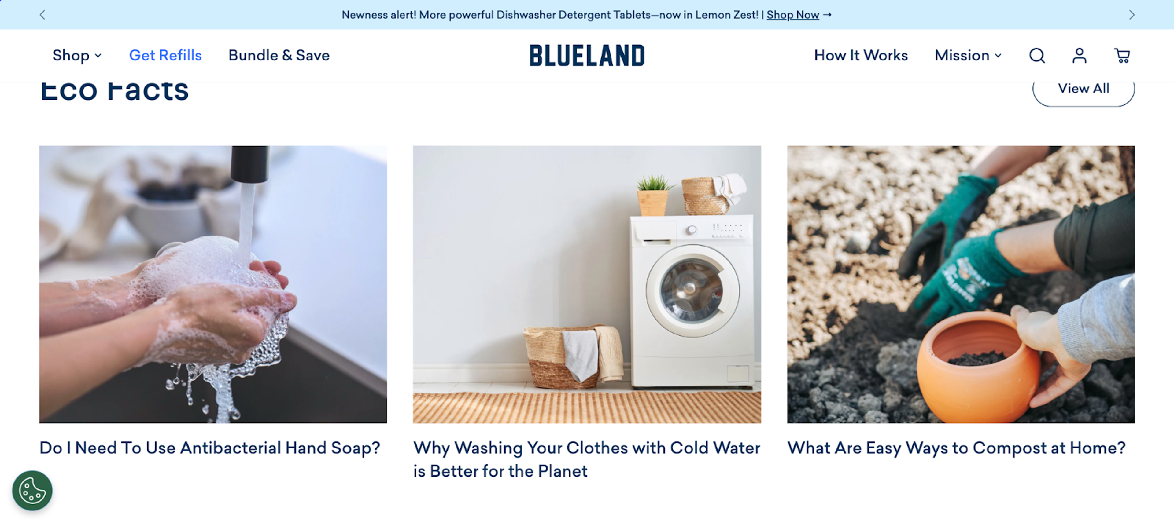 Blueland blog page