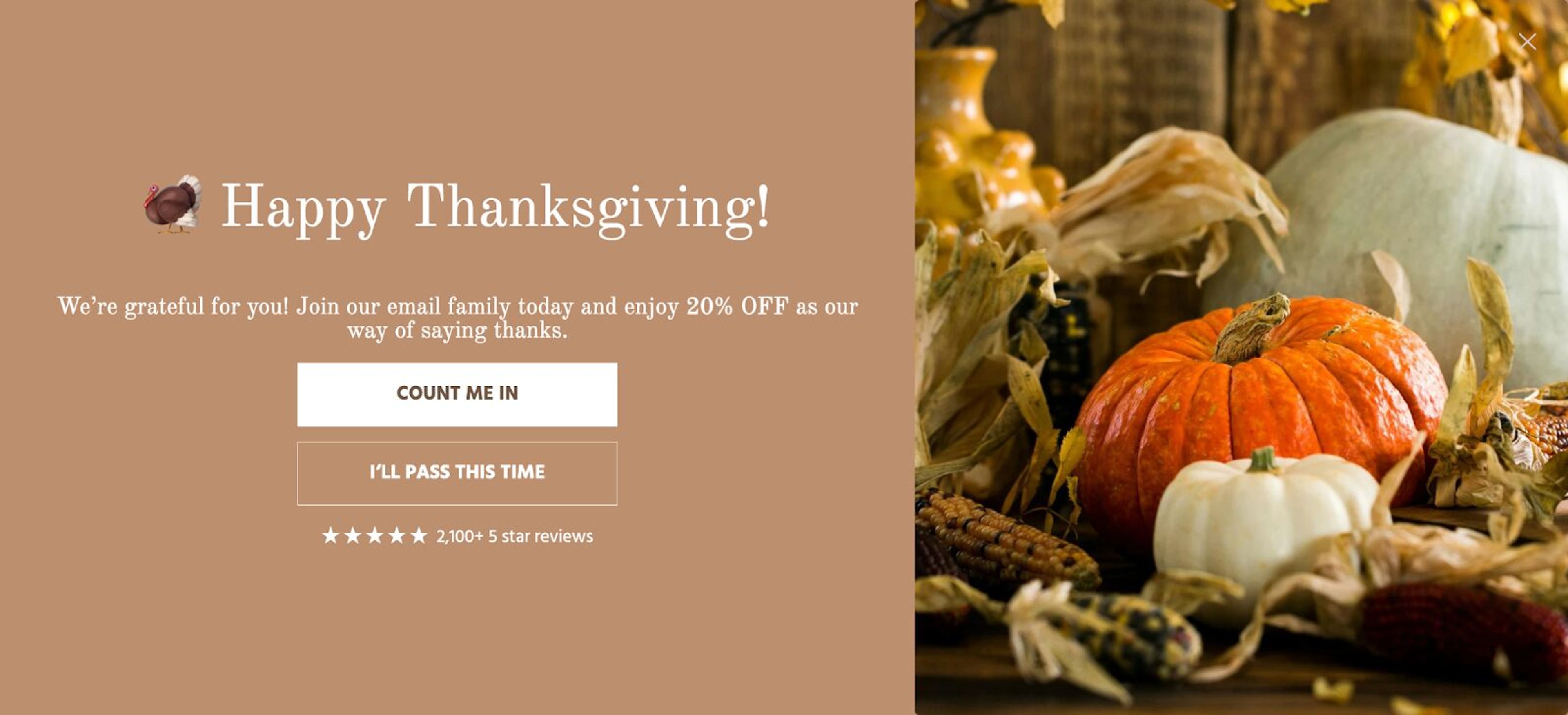 Thanksgiving marketing popup