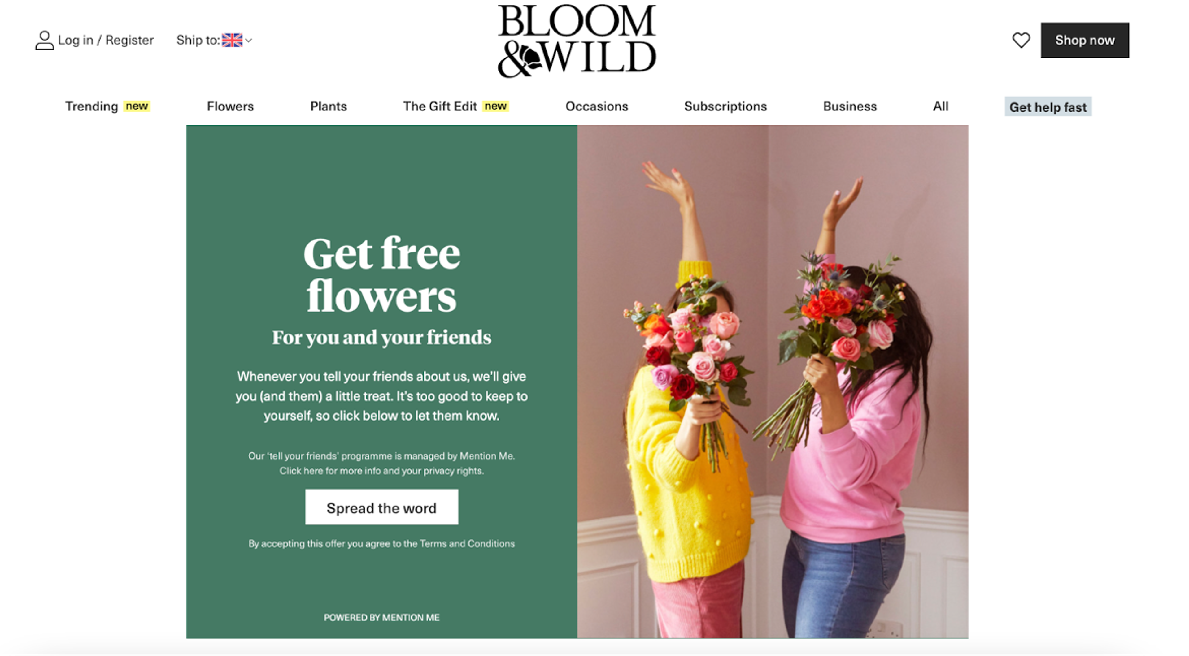 Bloom &amp; Wild’s referral program