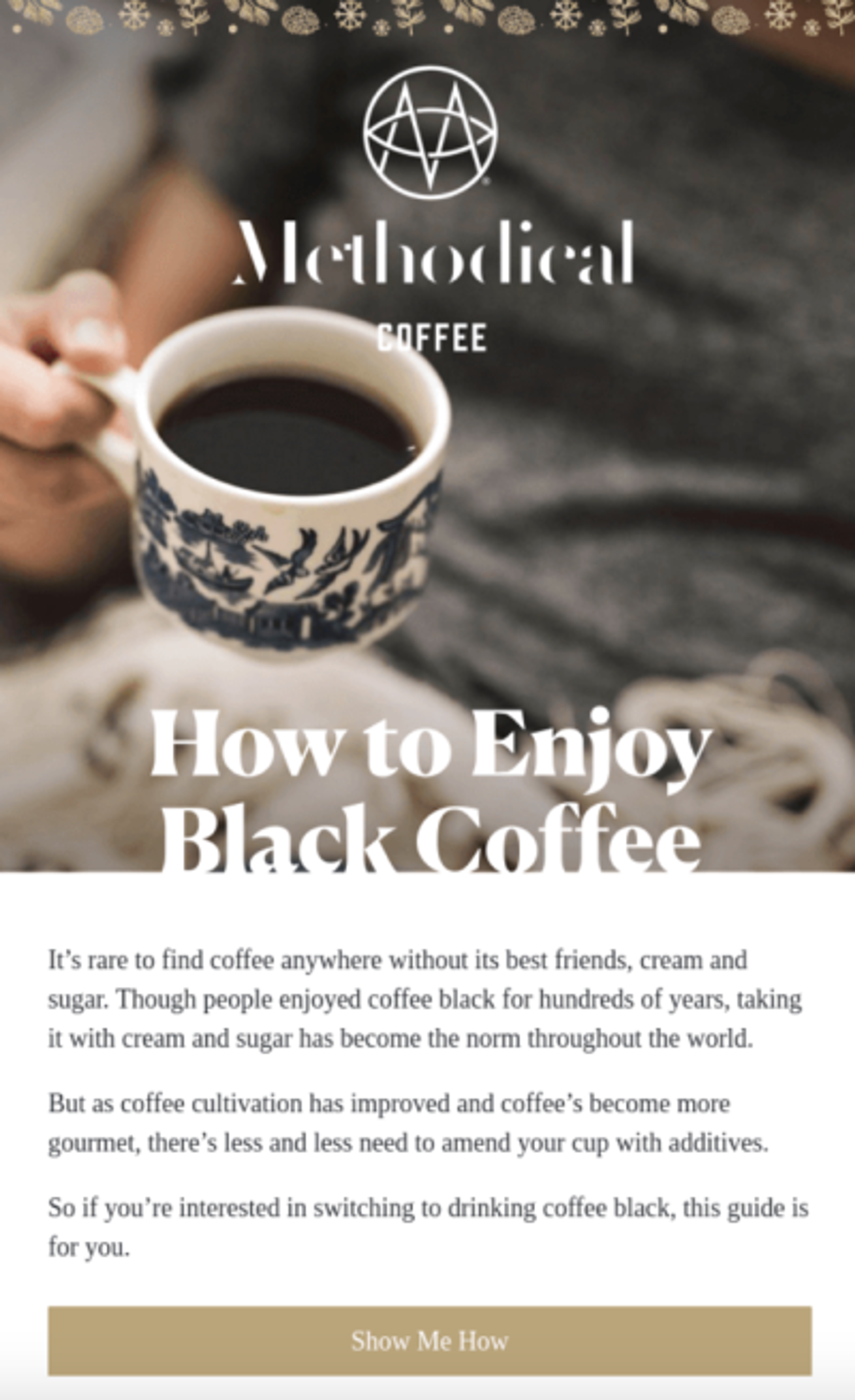 How-to guide newsletter example from Methodical Coffee